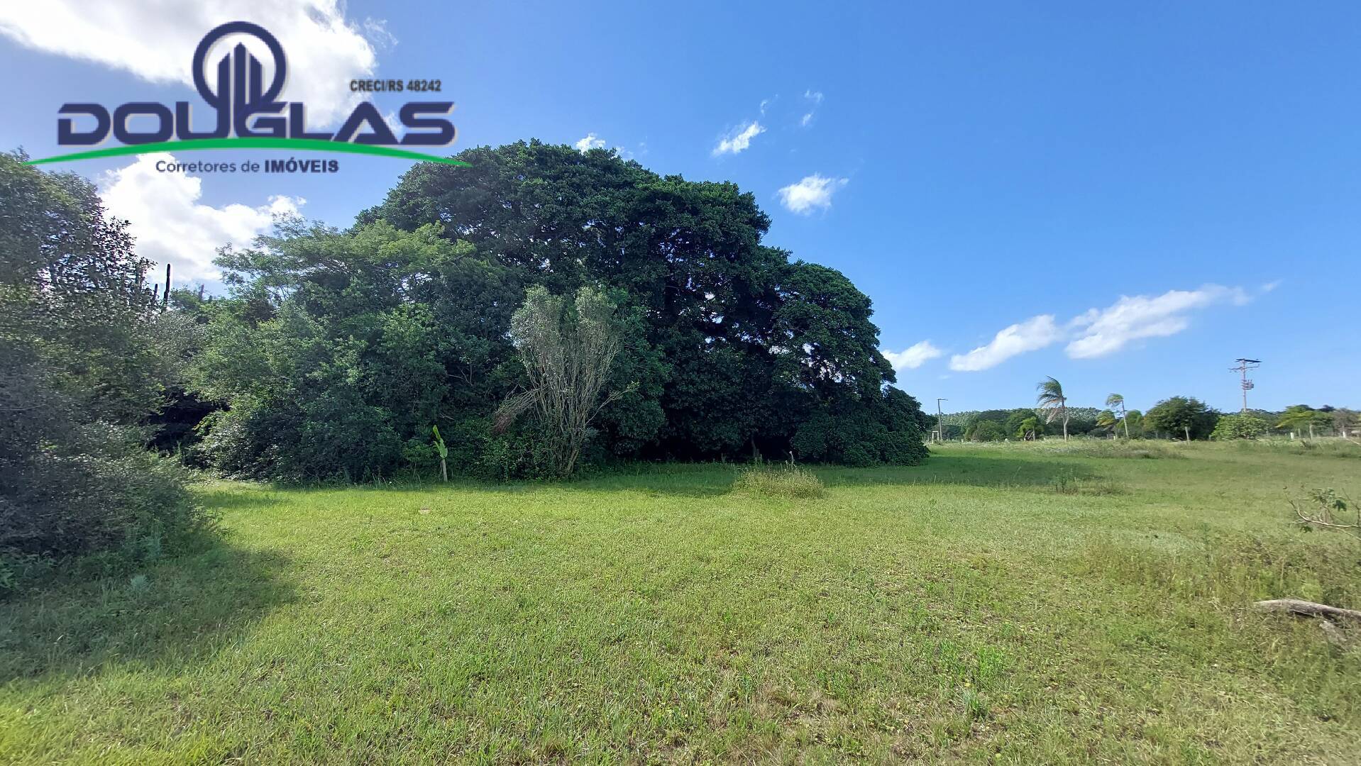 Fazenda à venda com 2 quartos, 100m² - Foto 35