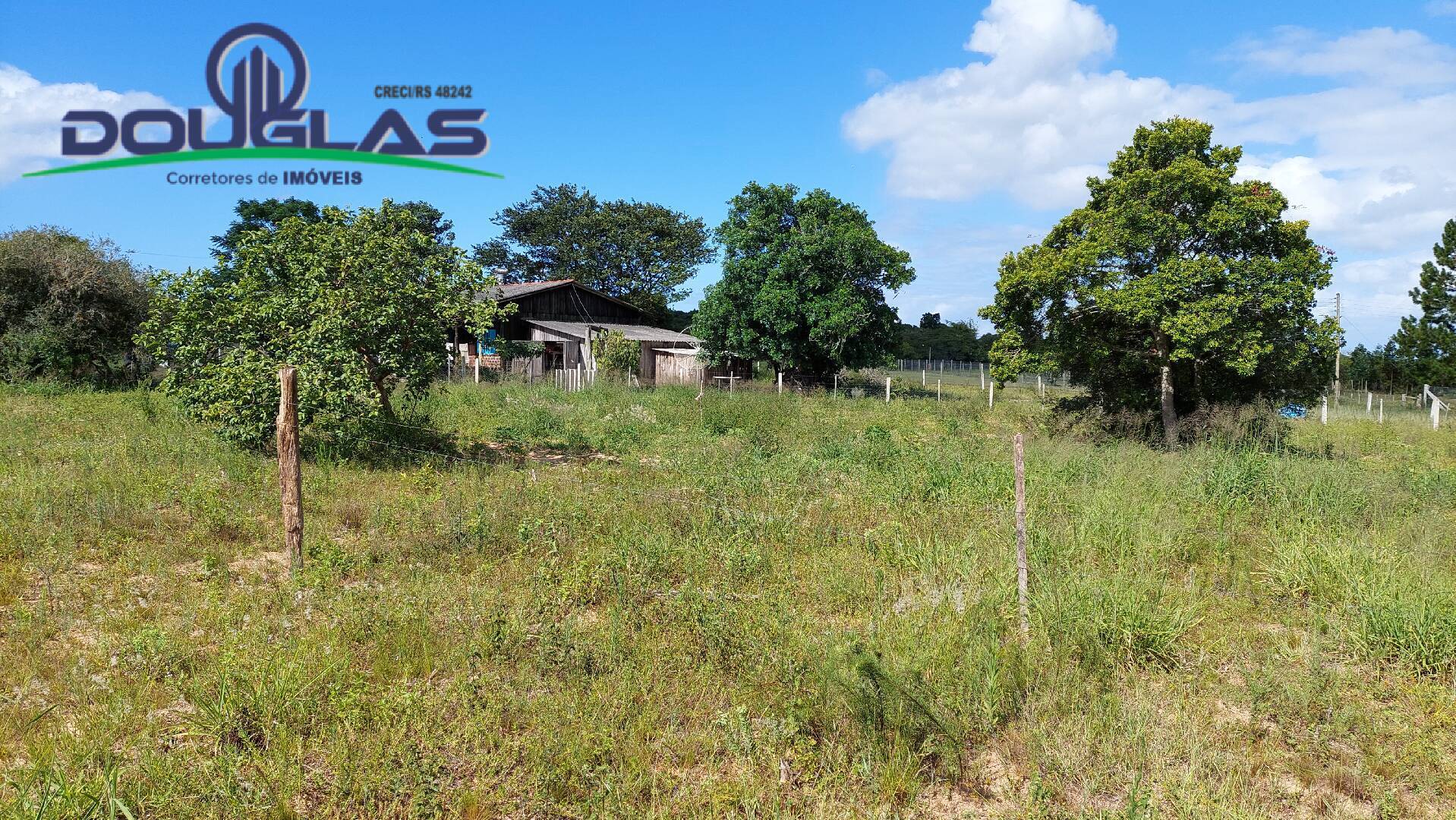 Fazenda à venda com 2 quartos, 100m² - Foto 37