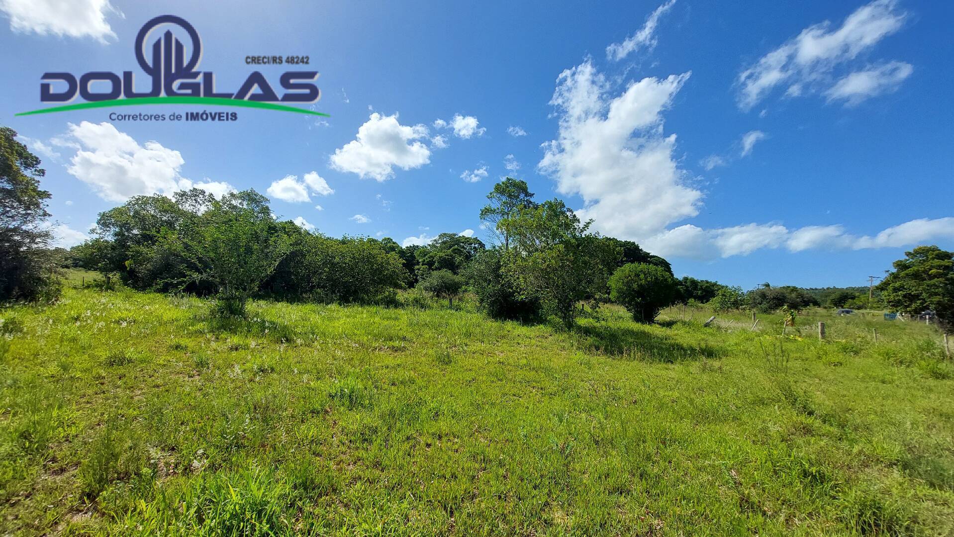 Fazenda à venda com 2 quartos, 100m² - Foto 39