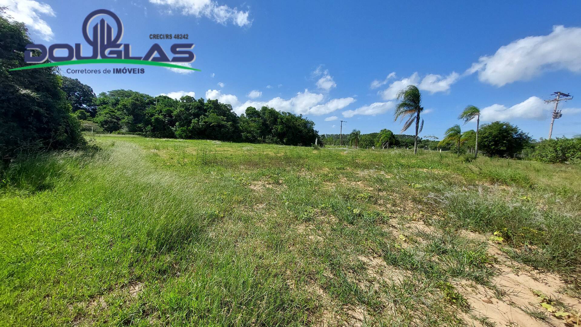 Fazenda à venda com 2 quartos, 100m² - Foto 42