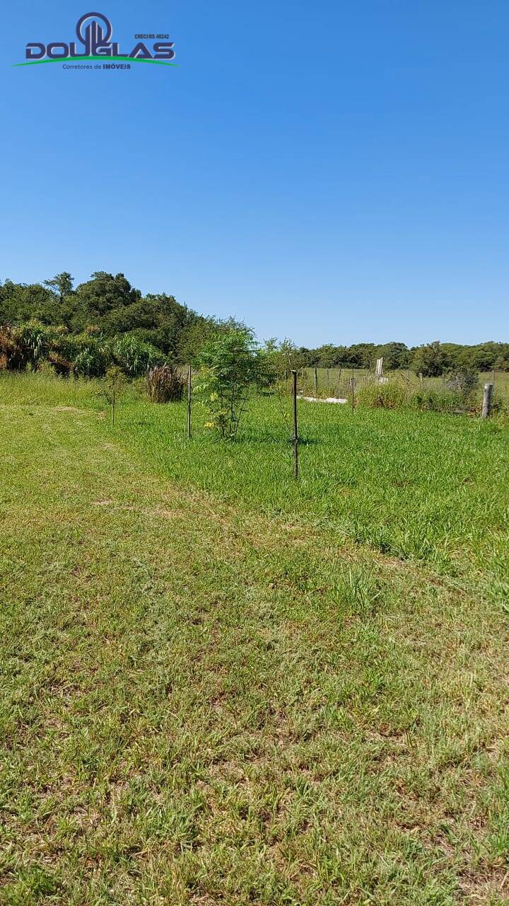 Fazenda à venda com 2 quartos - Foto 21