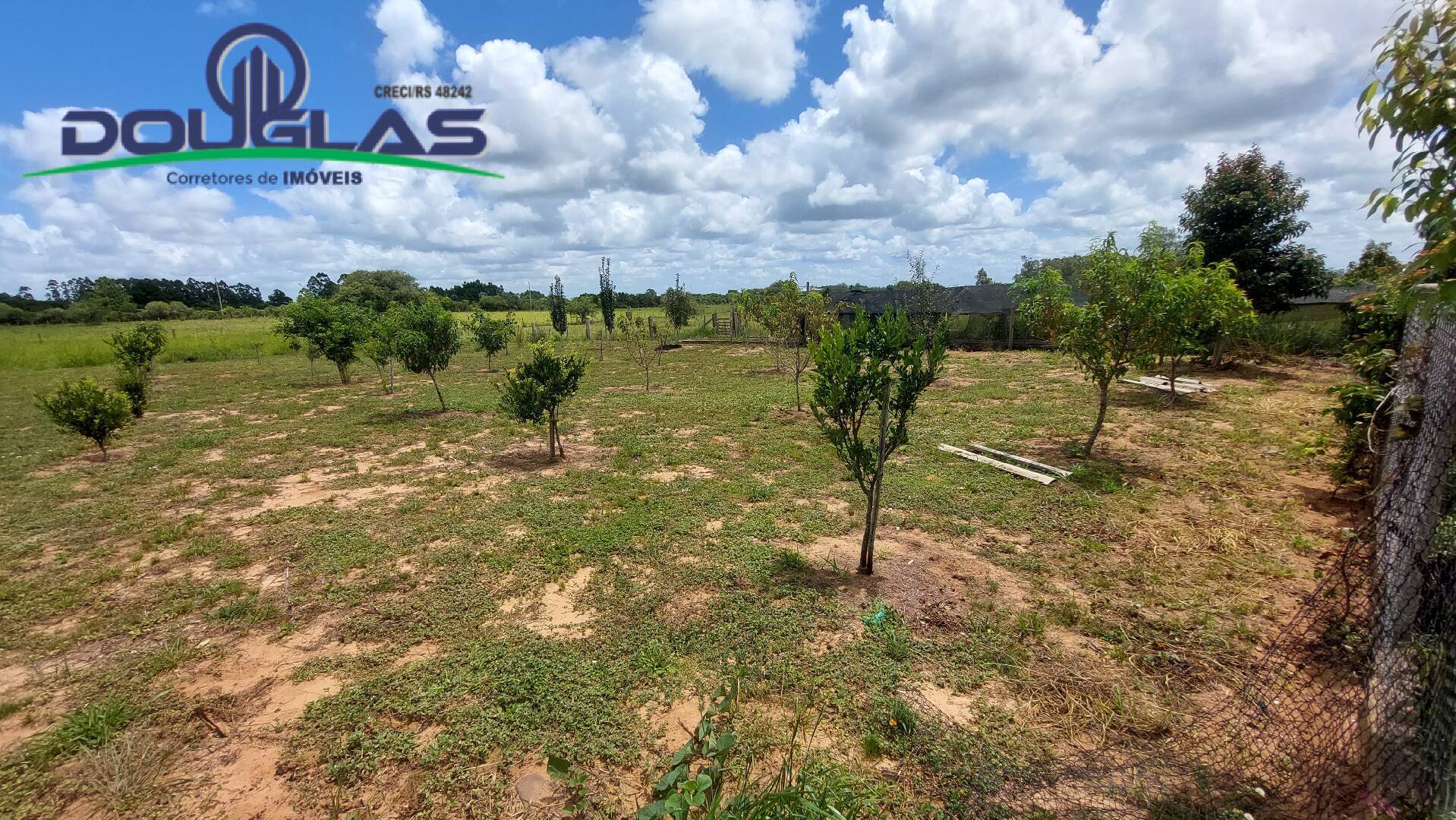 Fazenda à venda com 2 quartos - Foto 27