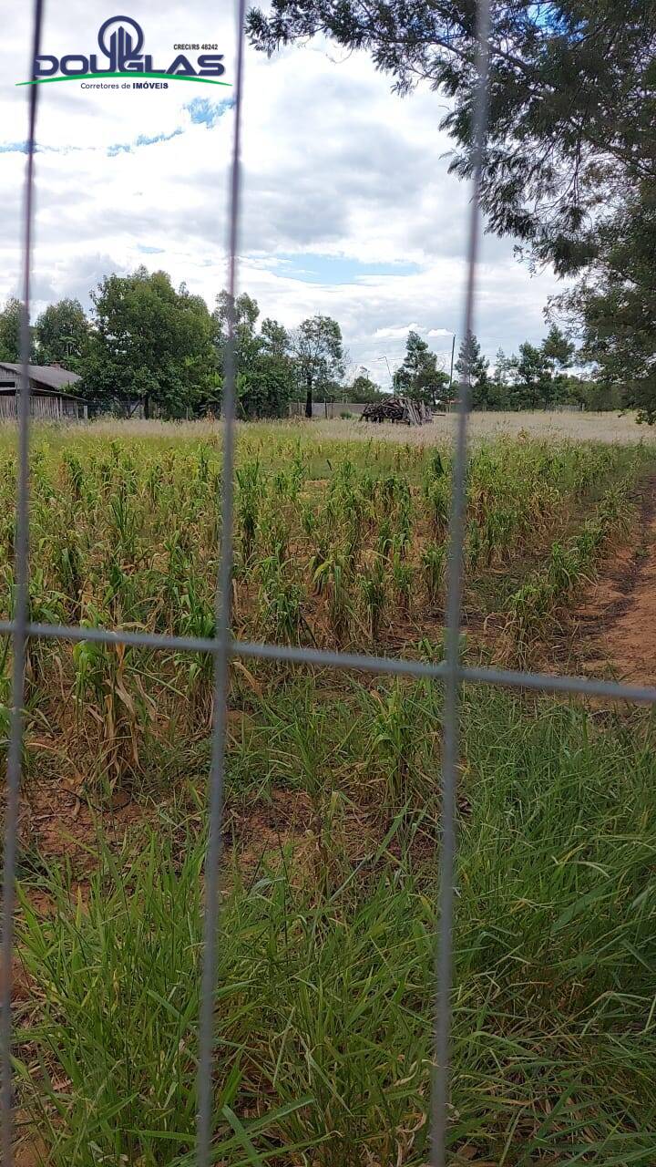 Terreno à venda, 2625m² - Foto 7