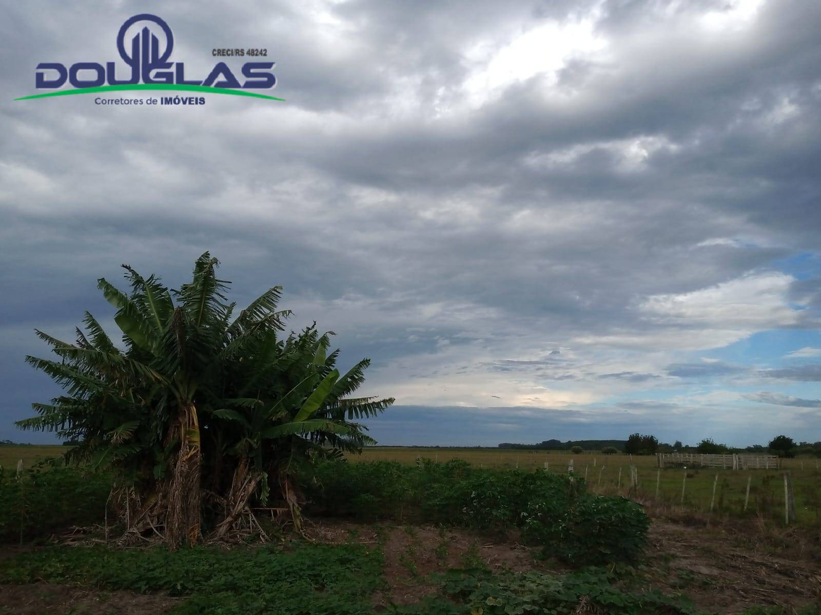 Fazenda à venda com 2 quartos, 5000m² - Foto 7