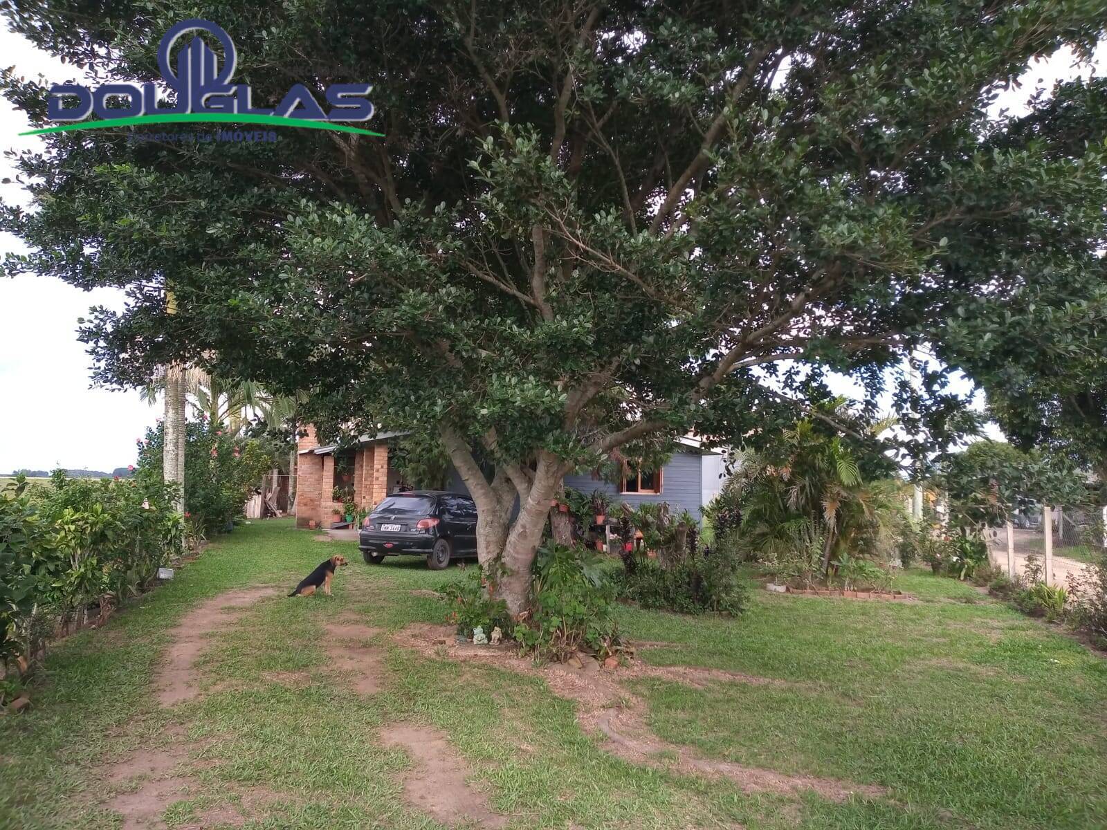 Fazenda à venda com 2 quartos, 5000m² - Foto 30