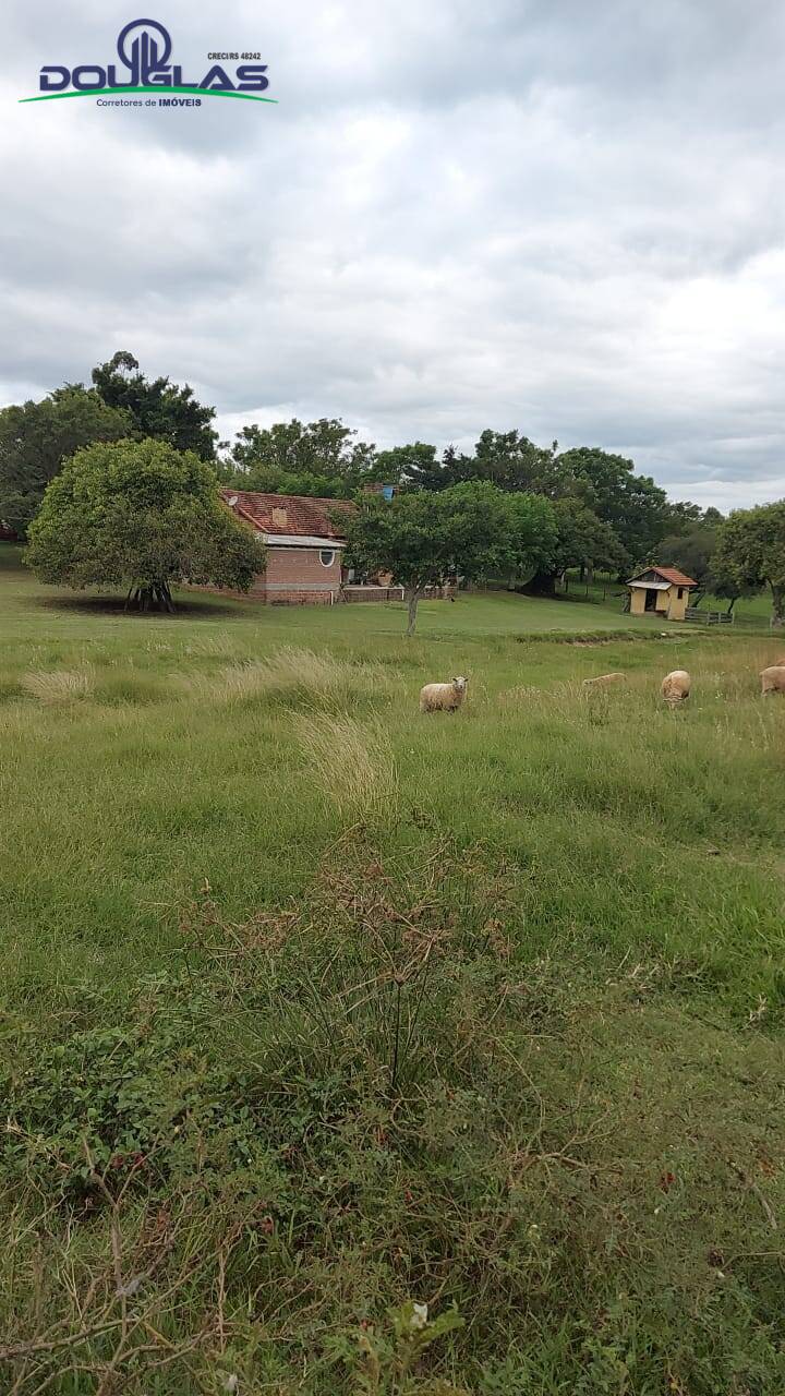 Fazenda à venda com 1 quarto - Foto 21