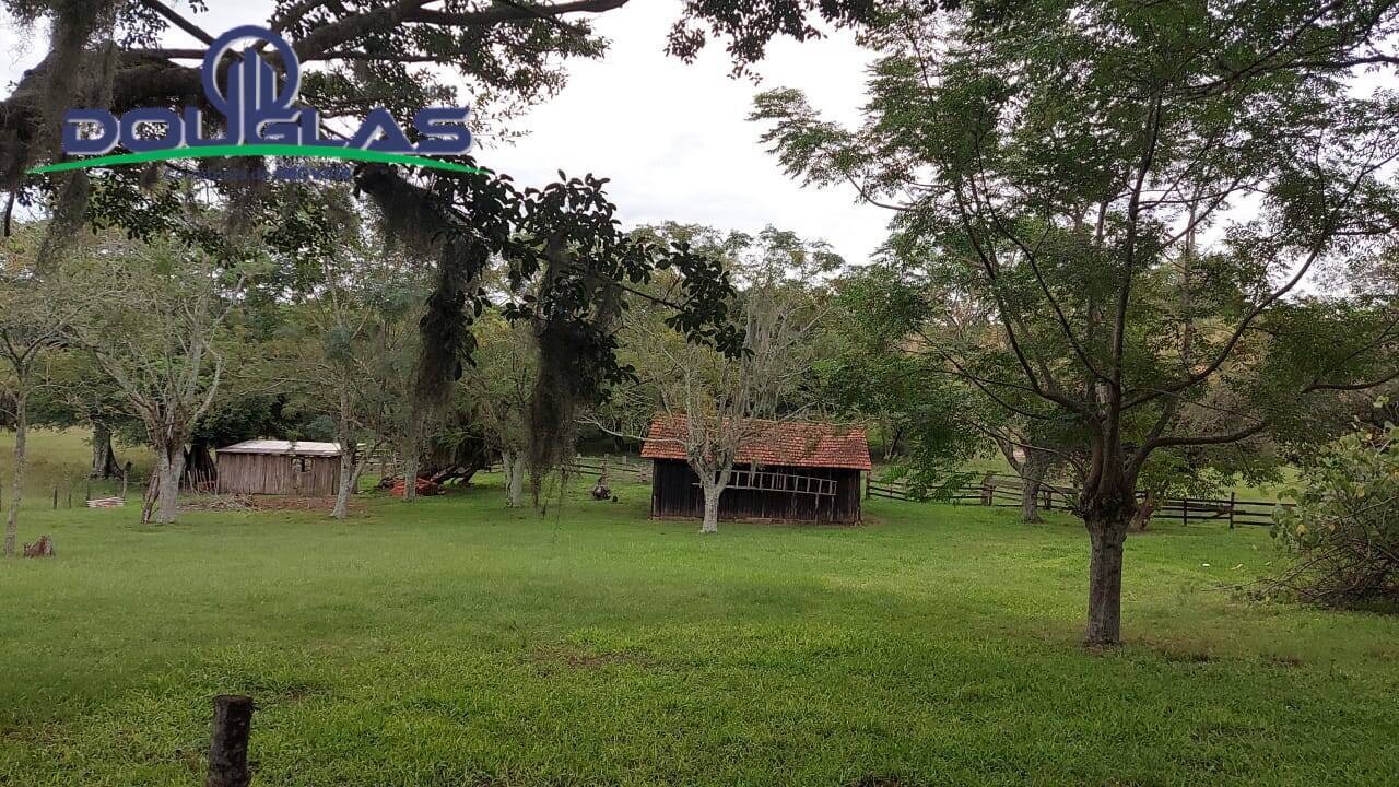 Fazenda à venda com 1 quarto - Foto 19