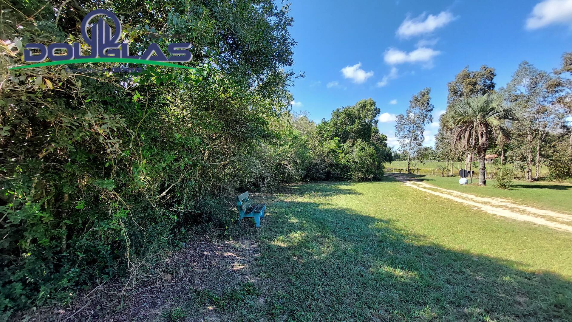 Fazenda à venda com 8 quartos, 4m² - Foto 15