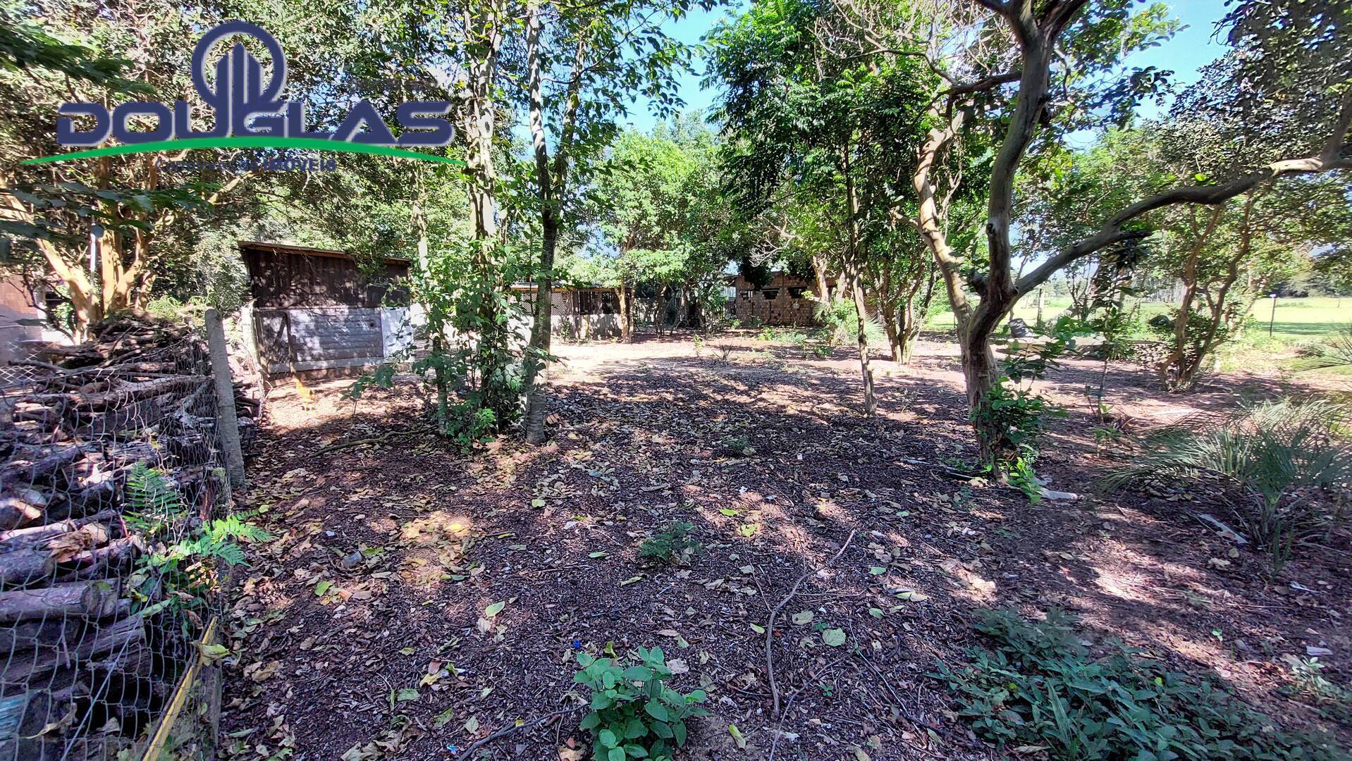 Fazenda à venda com 8 quartos, 4m² - Foto 39