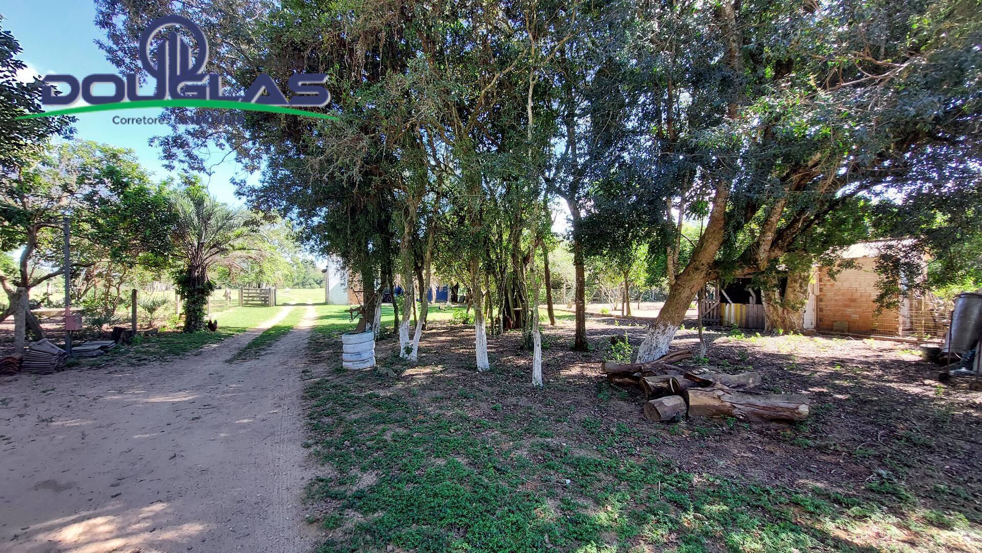 Fazenda à venda com 8 quartos, 4m² - Foto 40