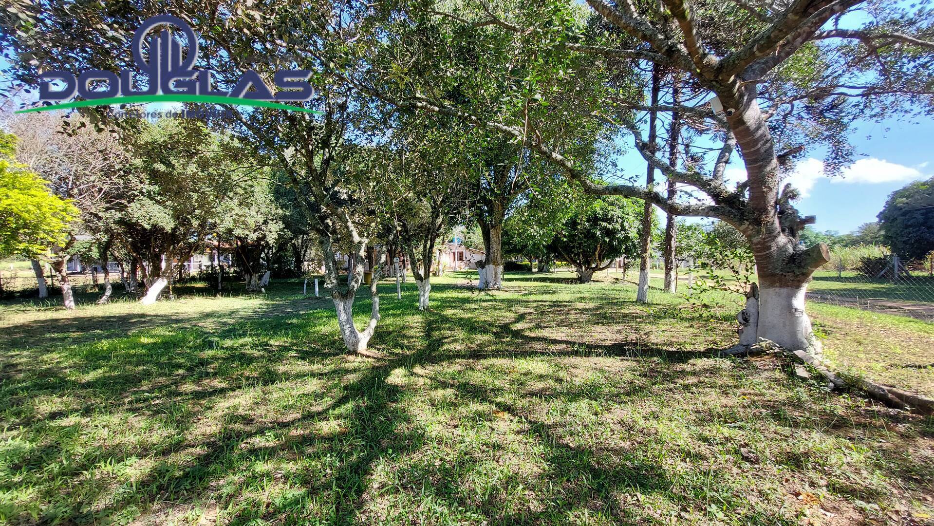 Fazenda à venda com 8 quartos, 4m² - Foto 18