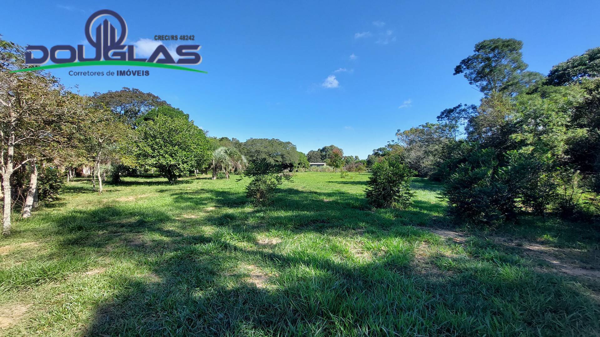 Fazenda à venda com 8 quartos, 4m² - Foto 8