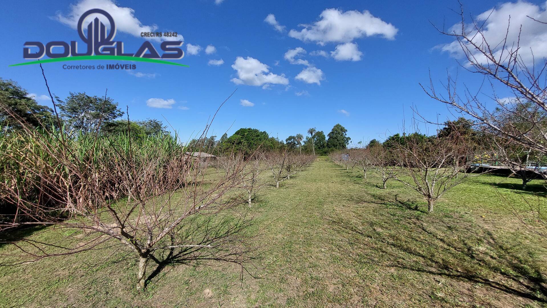 Fazenda à venda com 3 quartos, 143m² - Foto 29