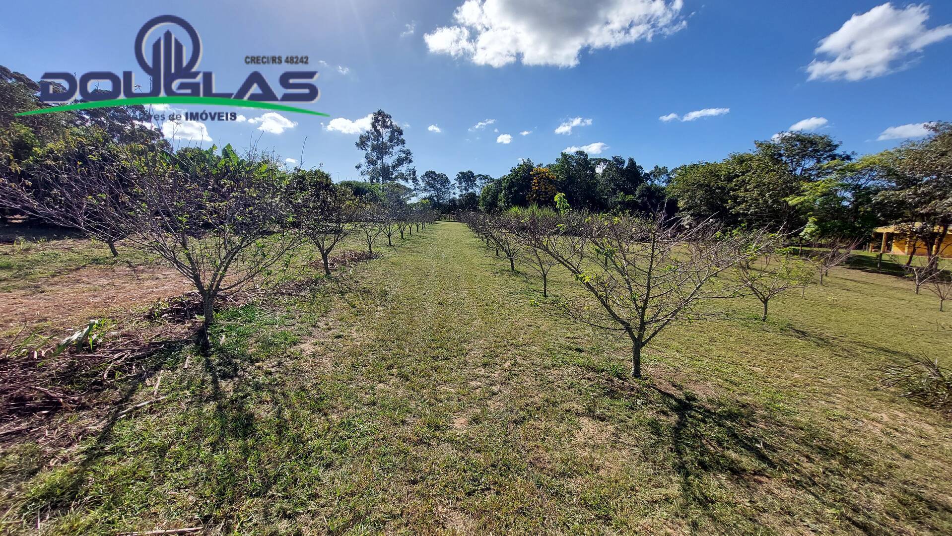 Fazenda à venda com 3 quartos, 143m² - Foto 30