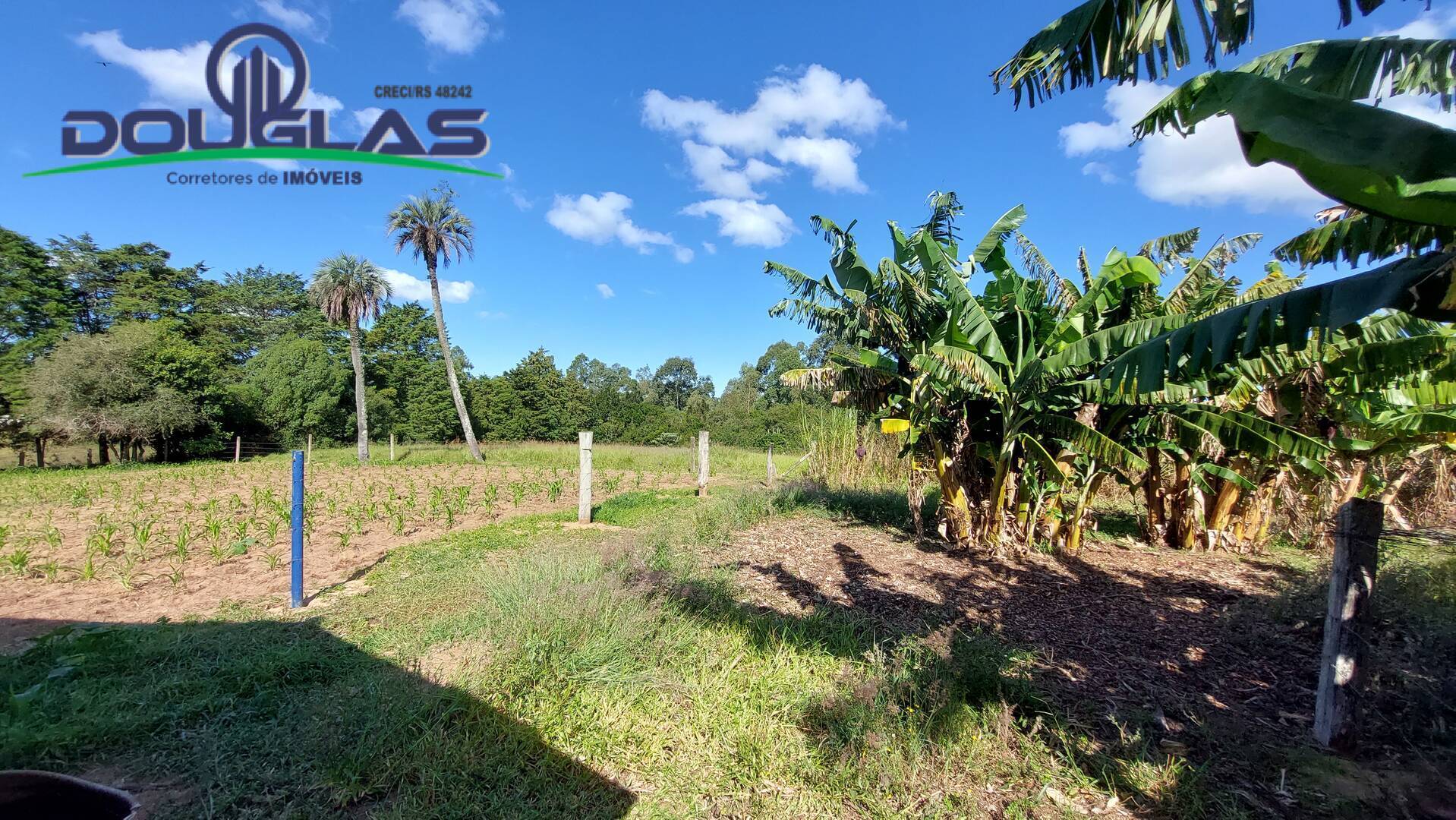 Fazenda à venda com 3 quartos, 143m² - Foto 33