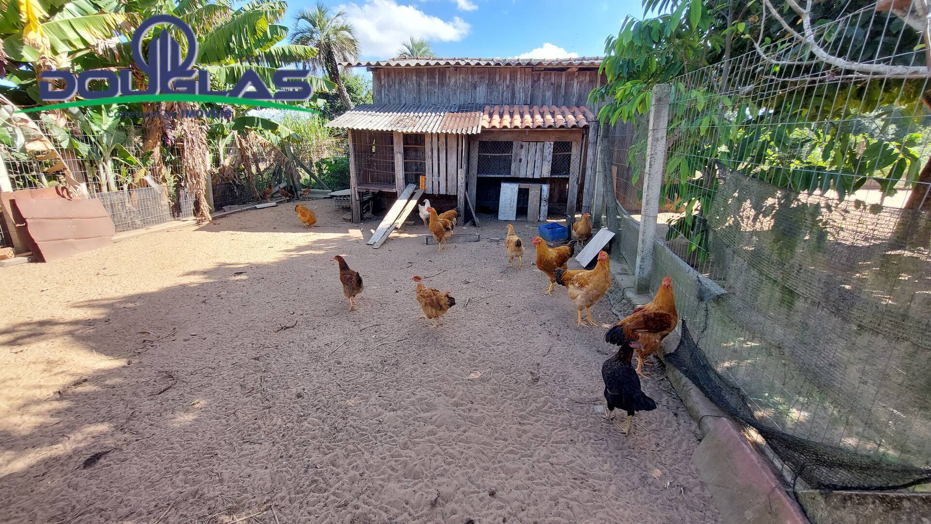 Fazenda à venda com 3 quartos, 143m² - Foto 36