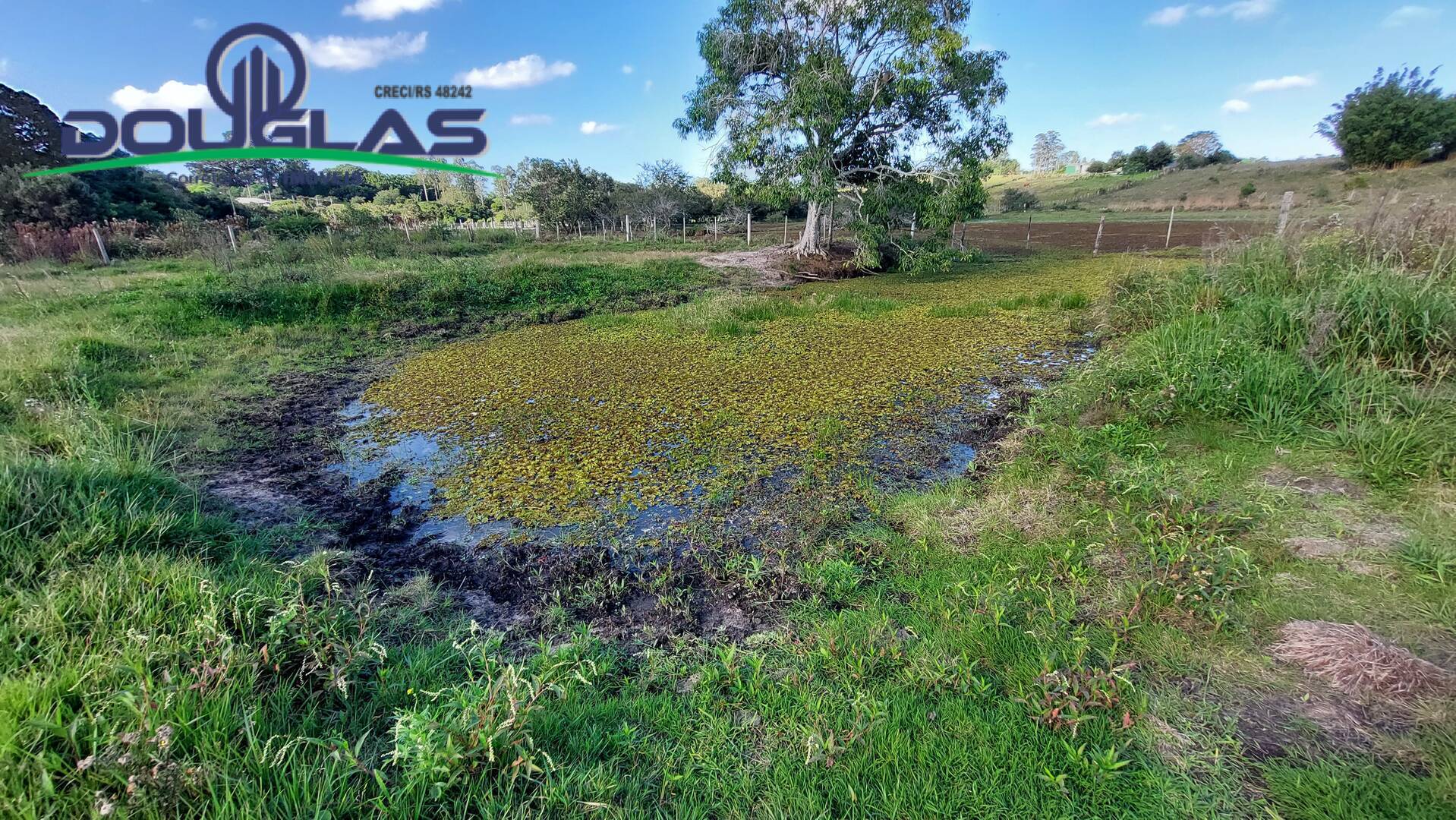 Terreno à venda, 5000m² - Foto 1