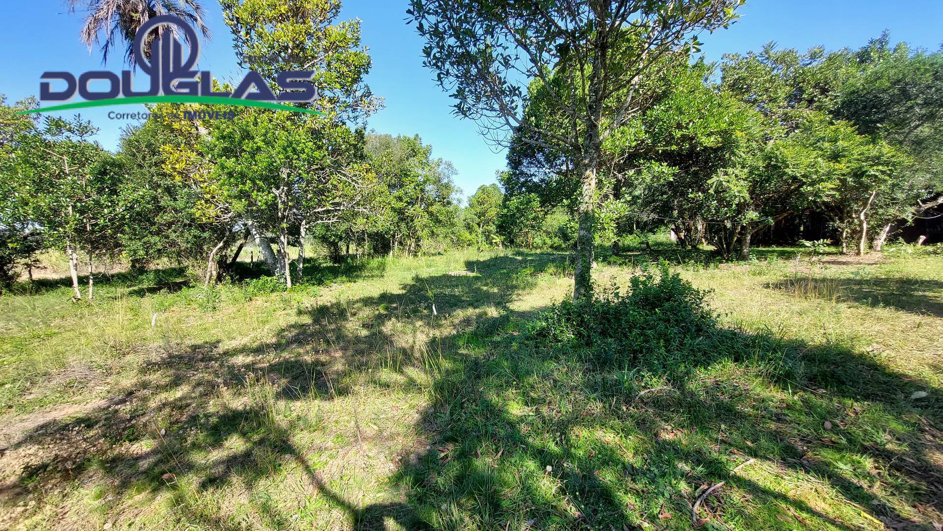 Terreno à venda com 1 quarto, 20000m² - Foto 15