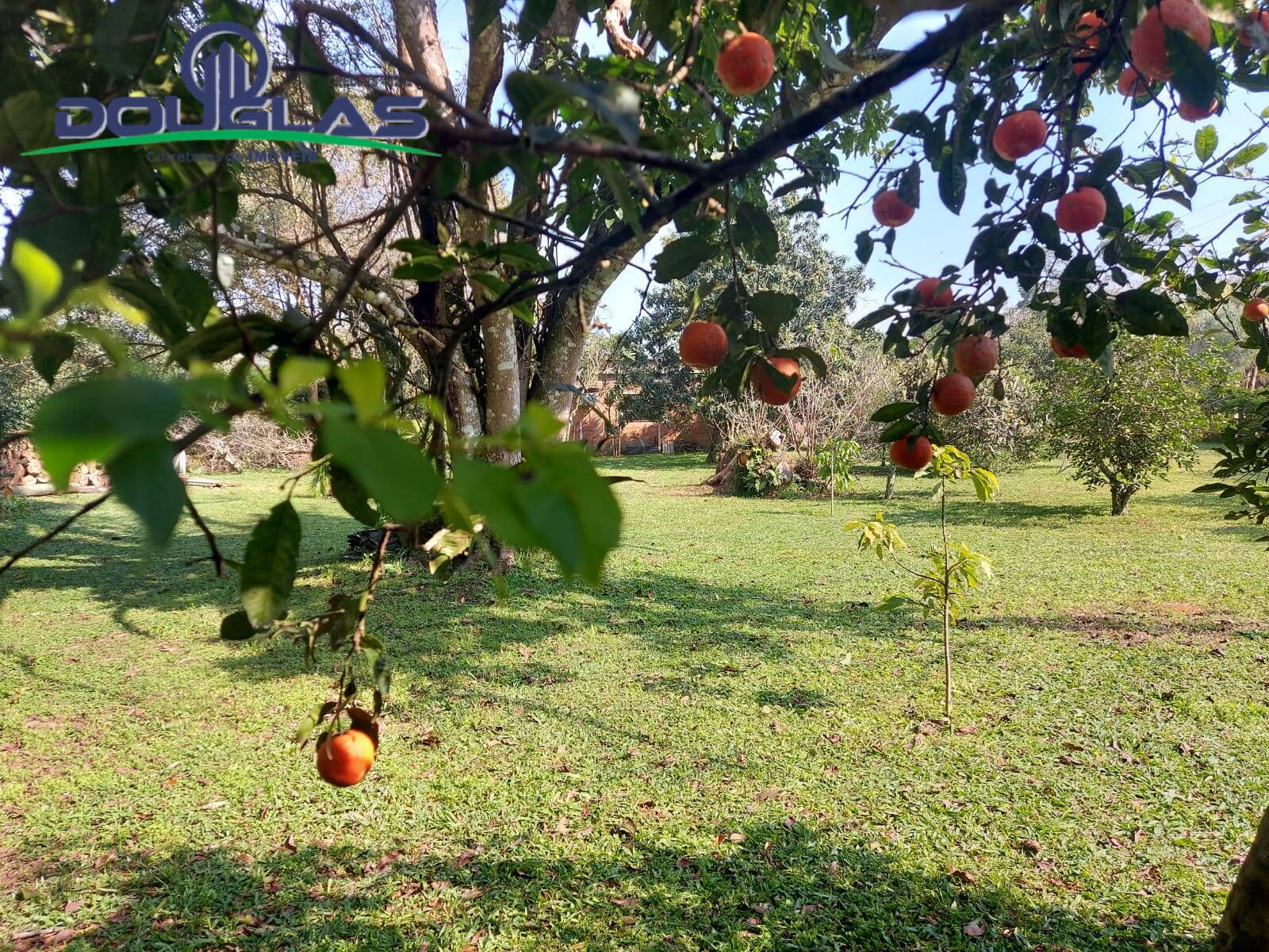 Terreno à venda, 595m² - Foto 13