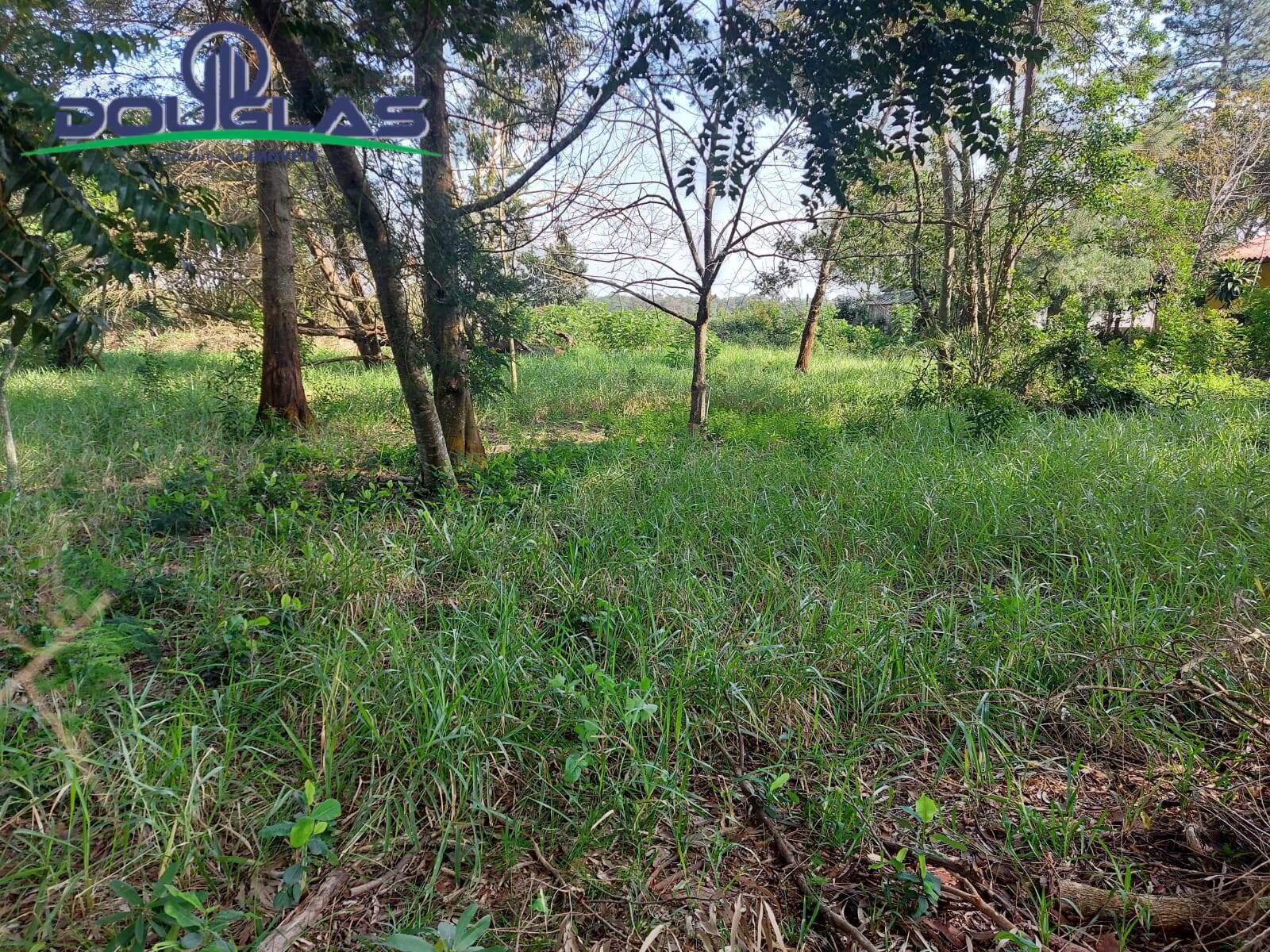 Terreno à venda, 700m² - Foto 5