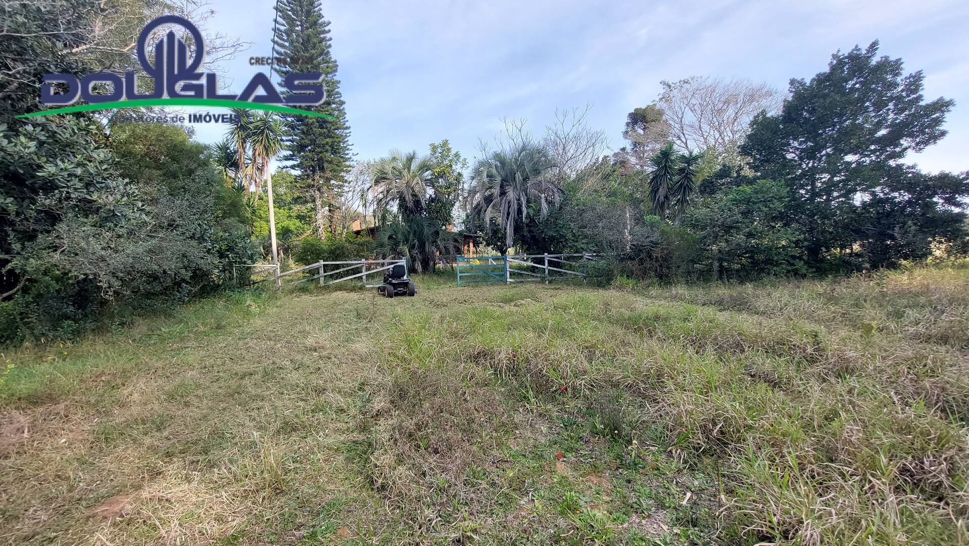 Fazenda à venda com 3 quartos, 100m² - Foto 17