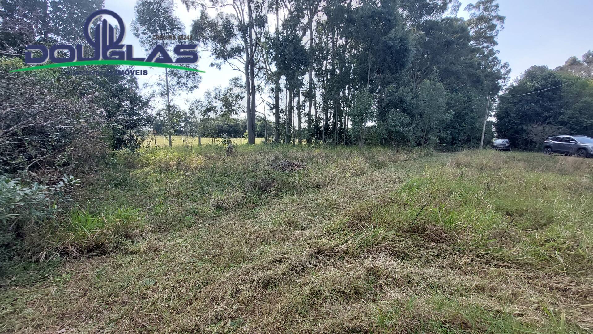 Fazenda à venda com 3 quartos, 100m² - Foto 19