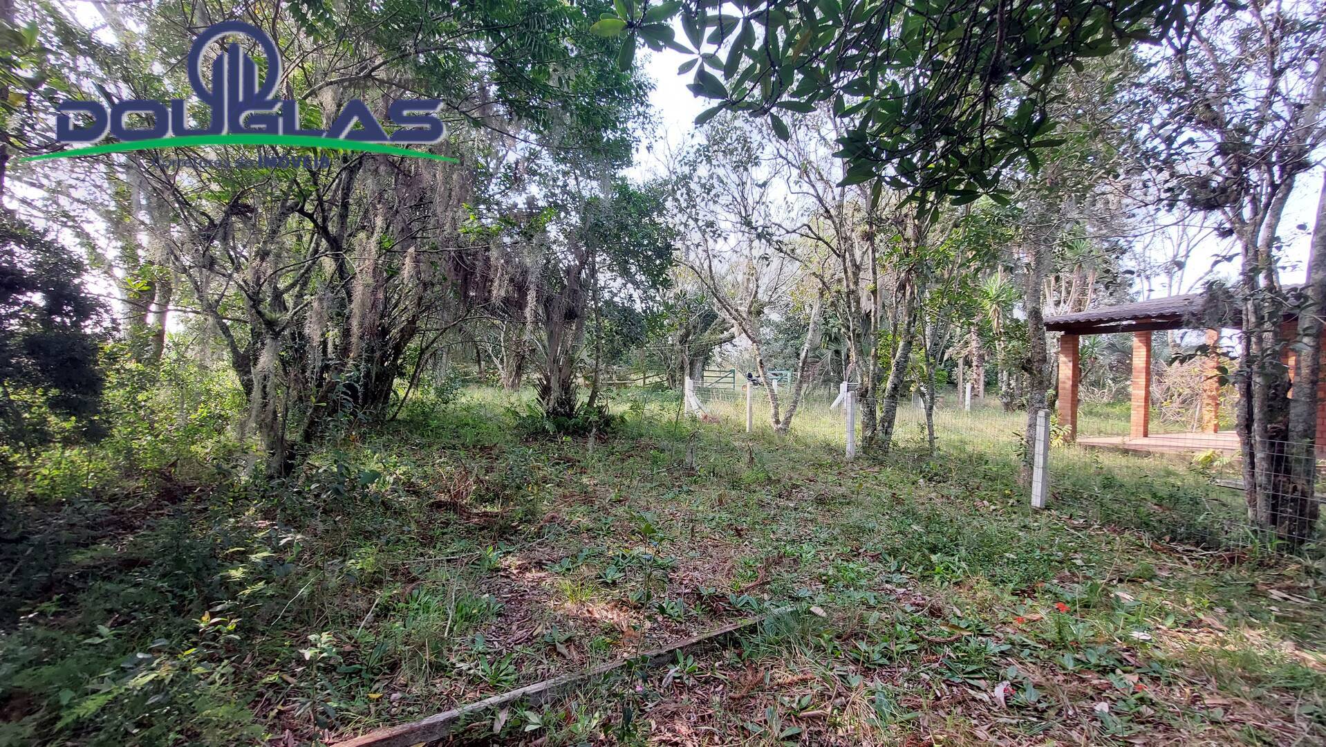 Fazenda à venda com 3 quartos, 100m² - Foto 20