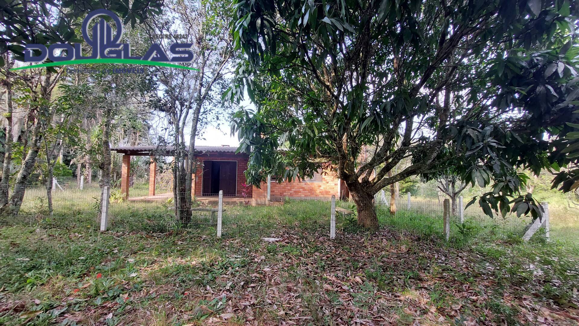 Fazenda à venda com 3 quartos, 100m² - Foto 21