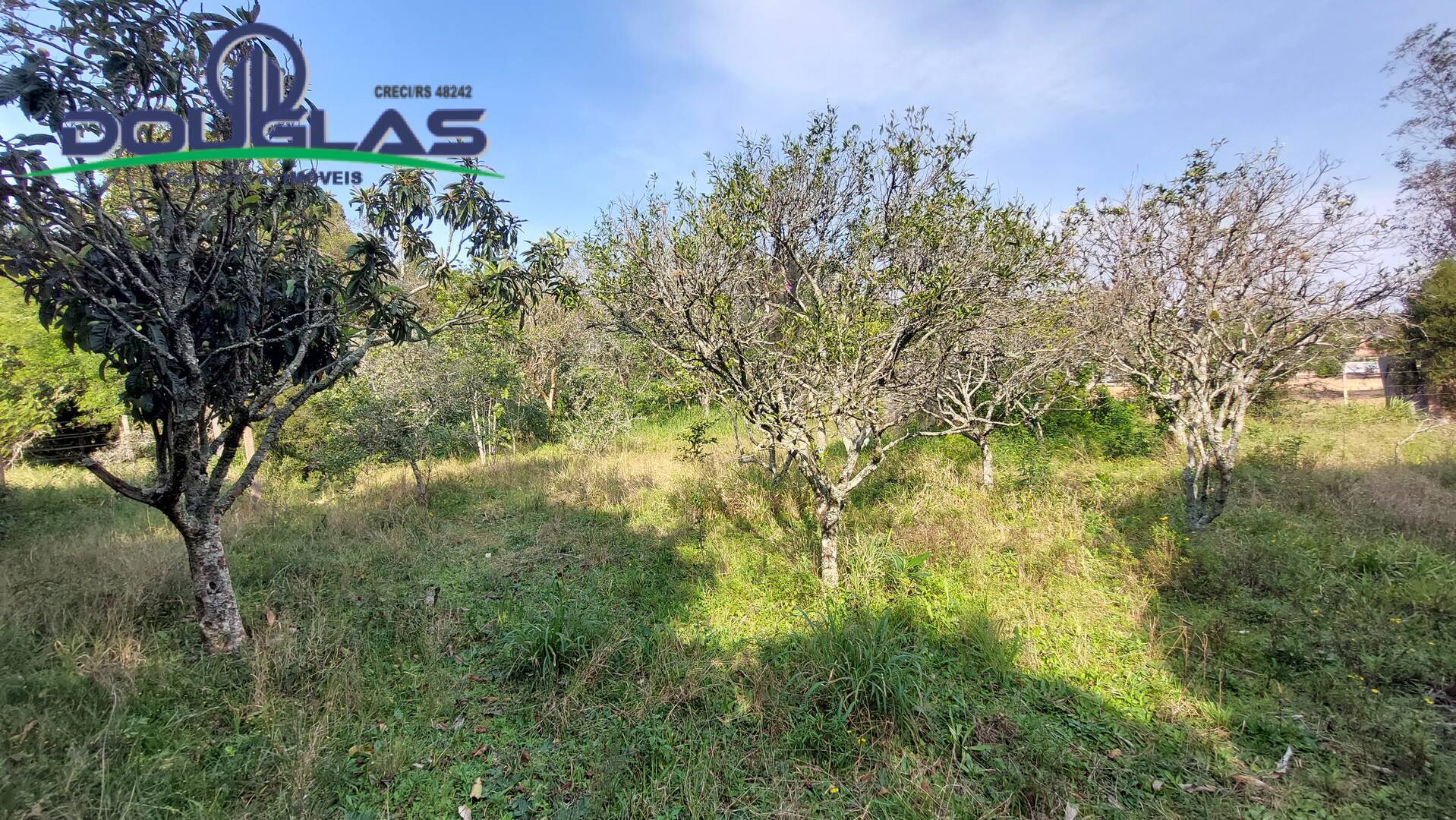 Fazenda à venda com 3 quartos, 100m² - Foto 22