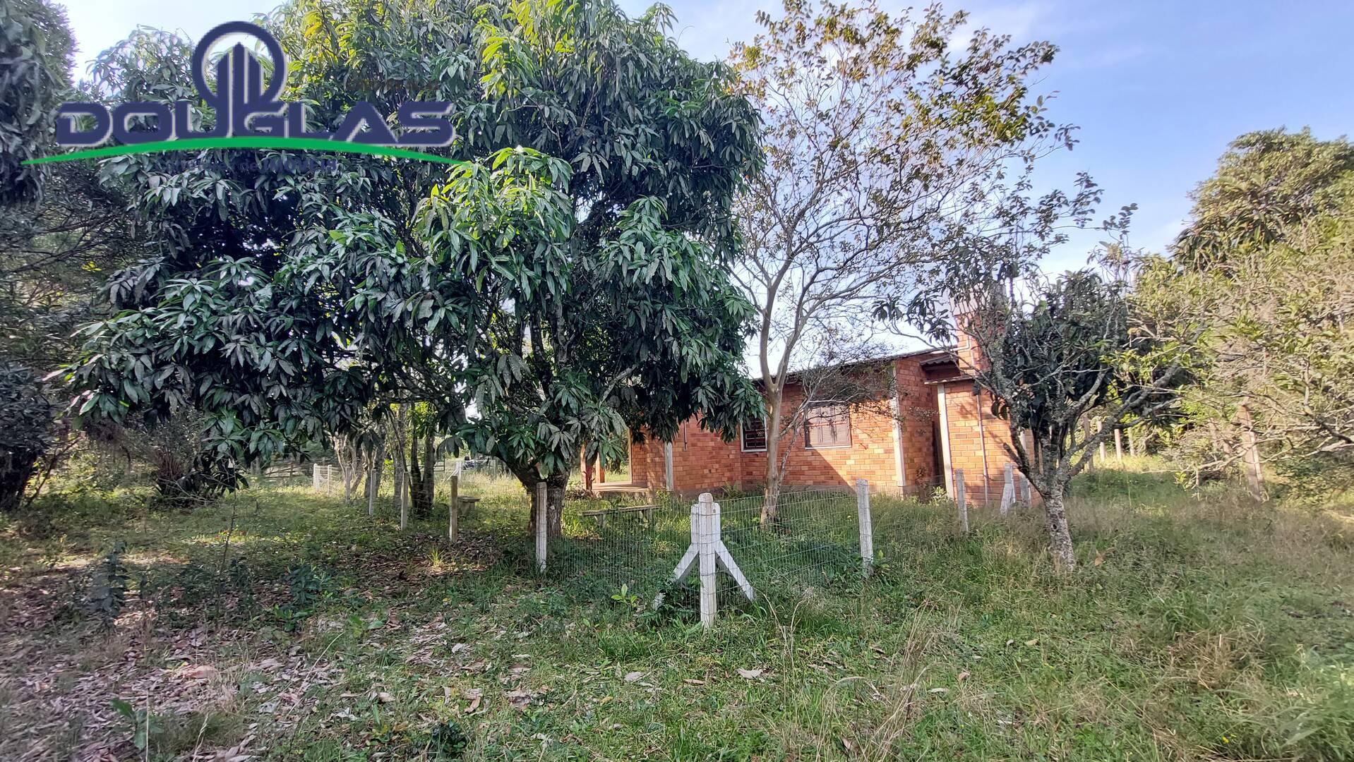 Fazenda à venda com 3 quartos, 100m² - Foto 23