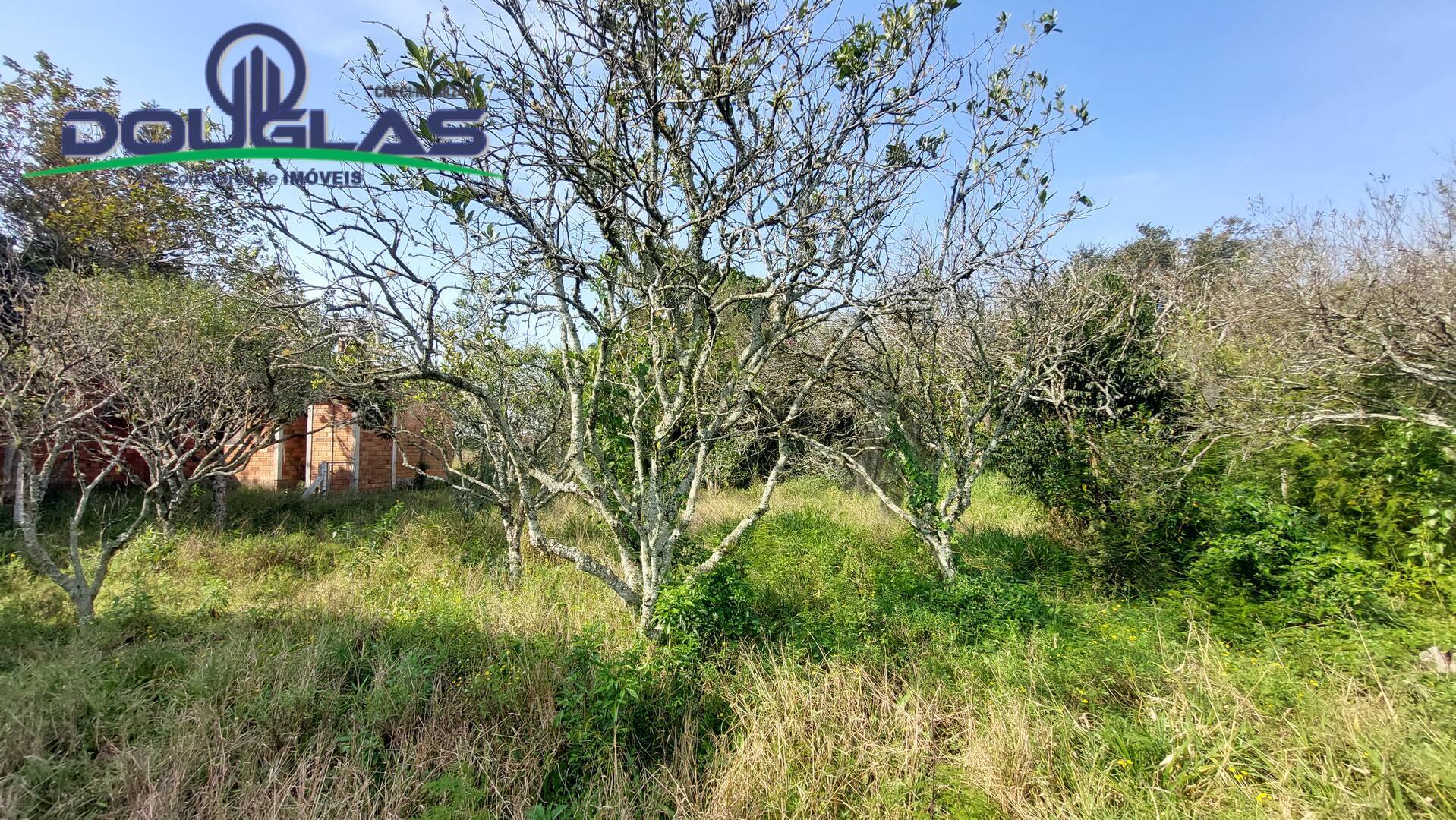 Fazenda à venda com 3 quartos, 100m² - Foto 24