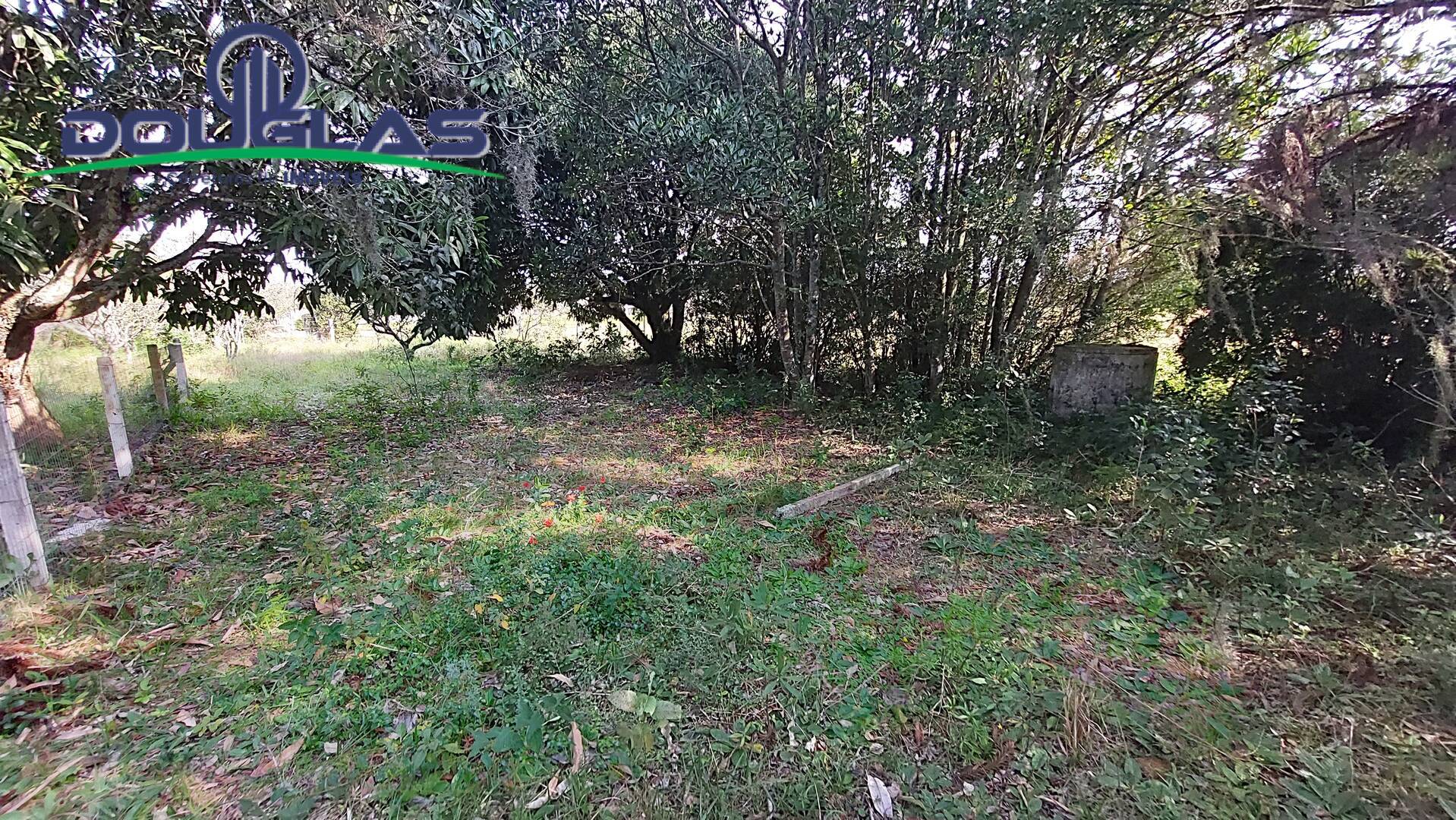 Fazenda à venda com 3 quartos, 100m² - Foto 26