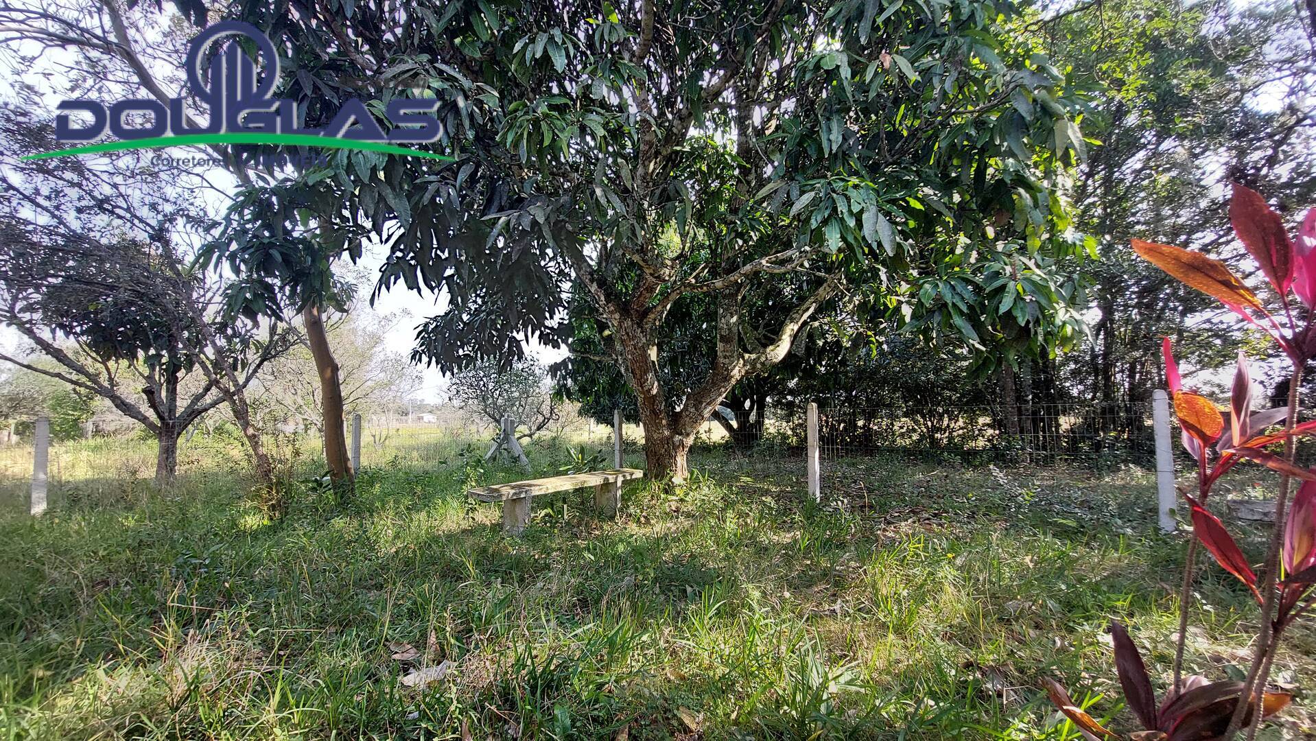 Fazenda à venda com 3 quartos, 100m² - Foto 27