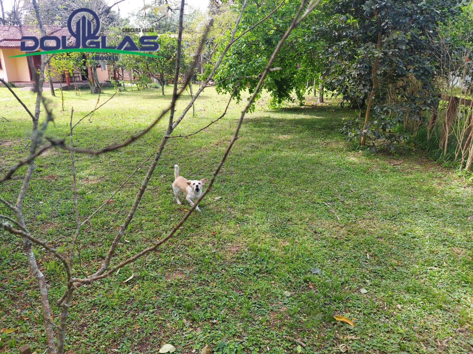 Terreno à venda, 600m² - Foto 5