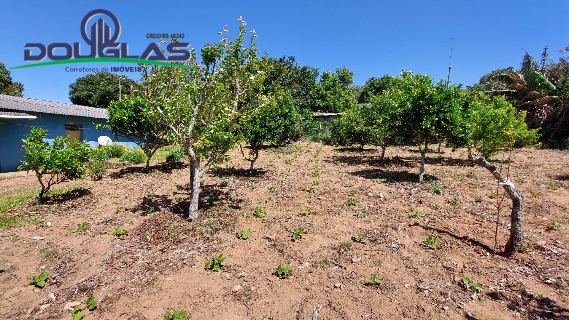 Fazenda à venda com 1 quarto, 60m² - Foto 18