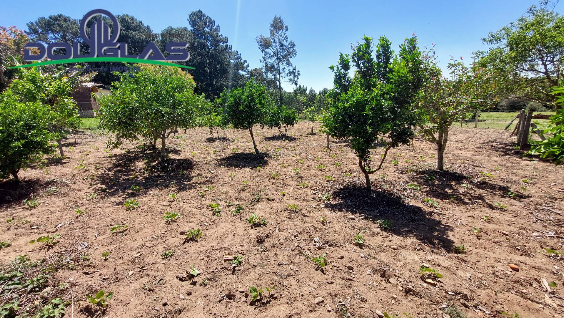 Fazenda à venda com 1 quarto, 60m² - Foto 20