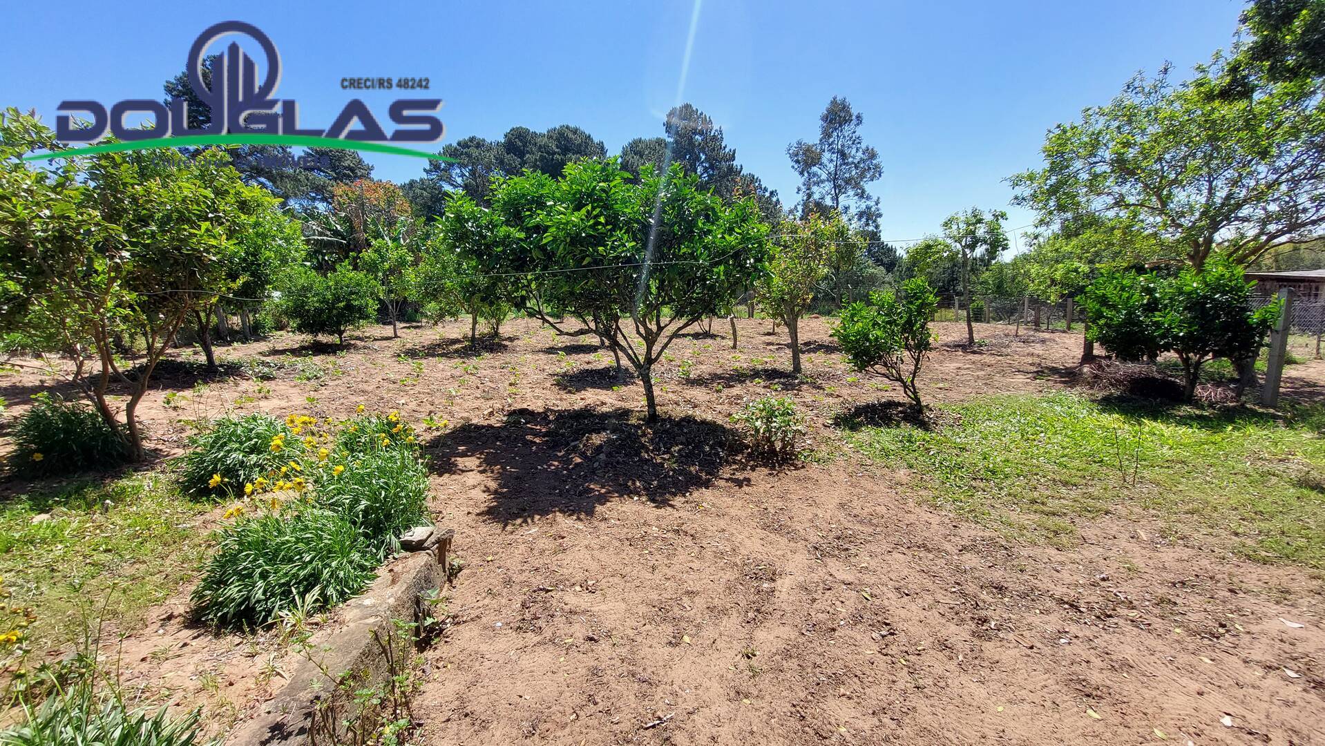 Fazenda à venda com 1 quarto, 60m² - Foto 21