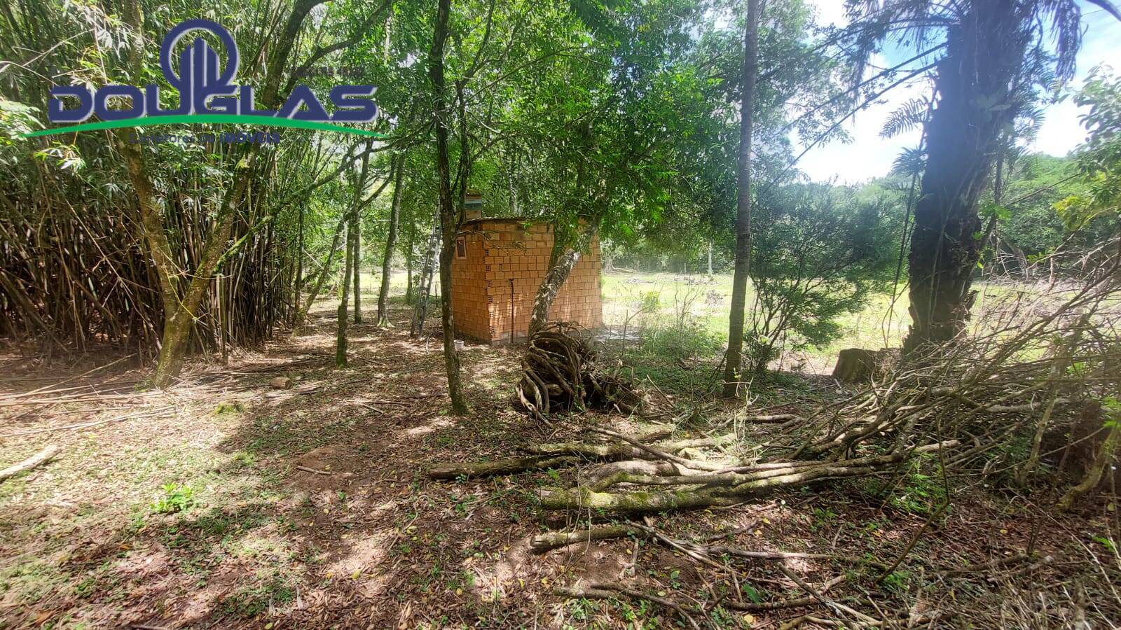 Fazenda à venda com 3 quartos, 4m² - Foto 16