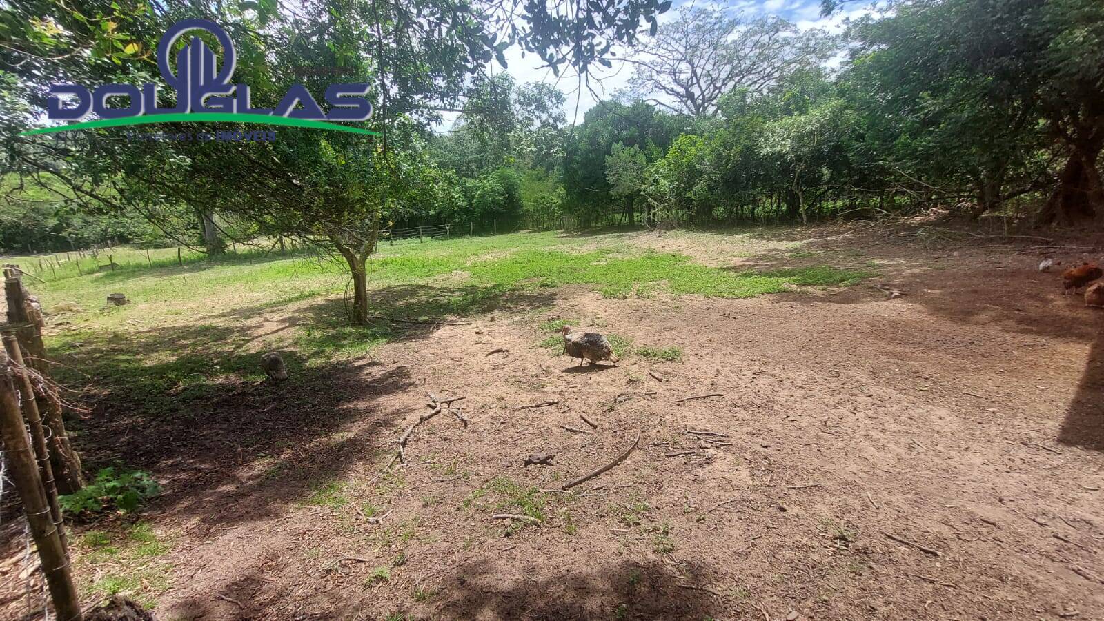 Fazenda à venda com 3 quartos, 4m² - Foto 20