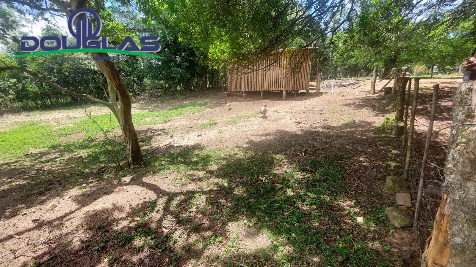 Fazenda à venda com 3 quartos, 4m² - Foto 19