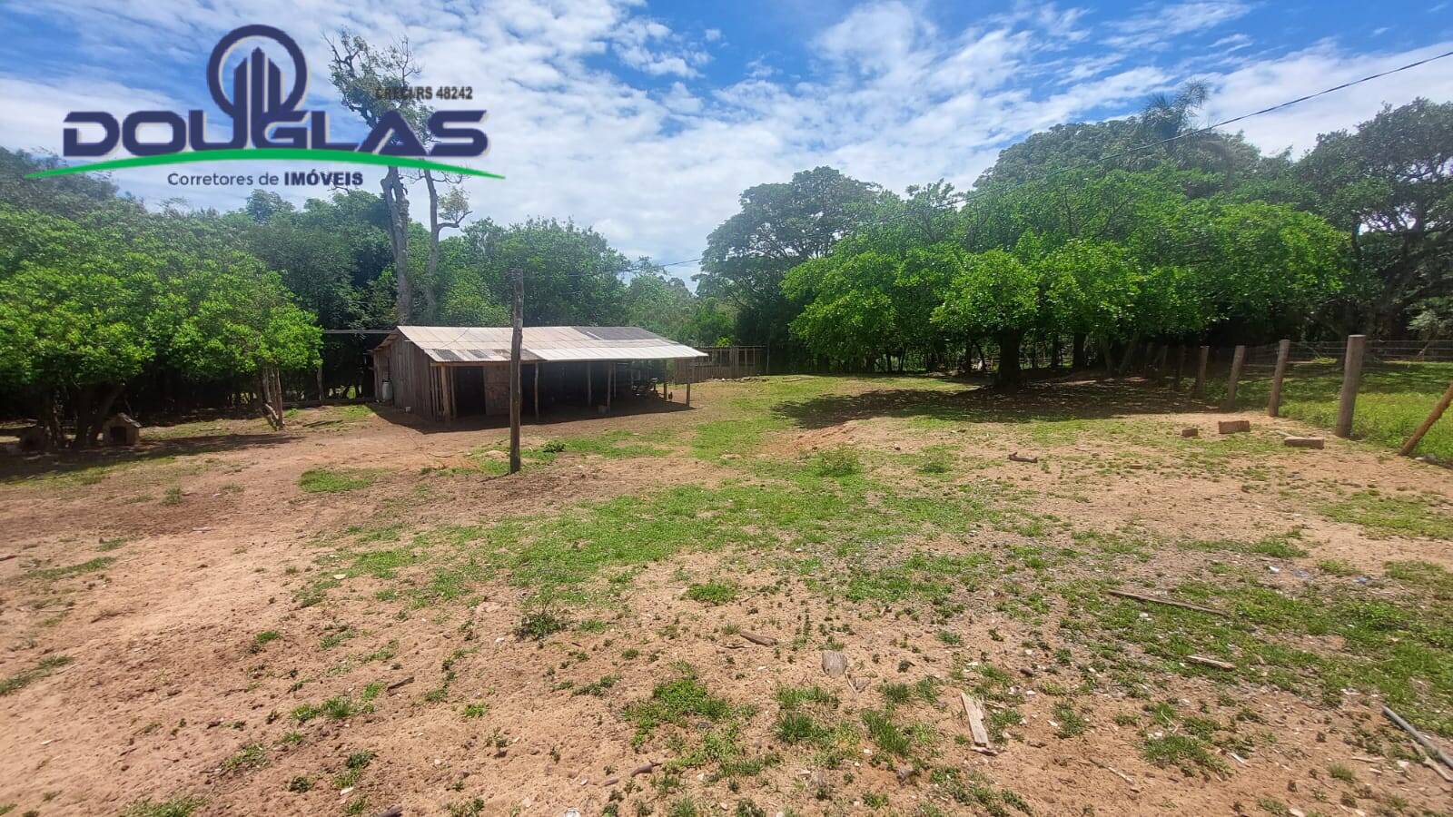 Fazenda à venda com 3 quartos, 4m² - Foto 22