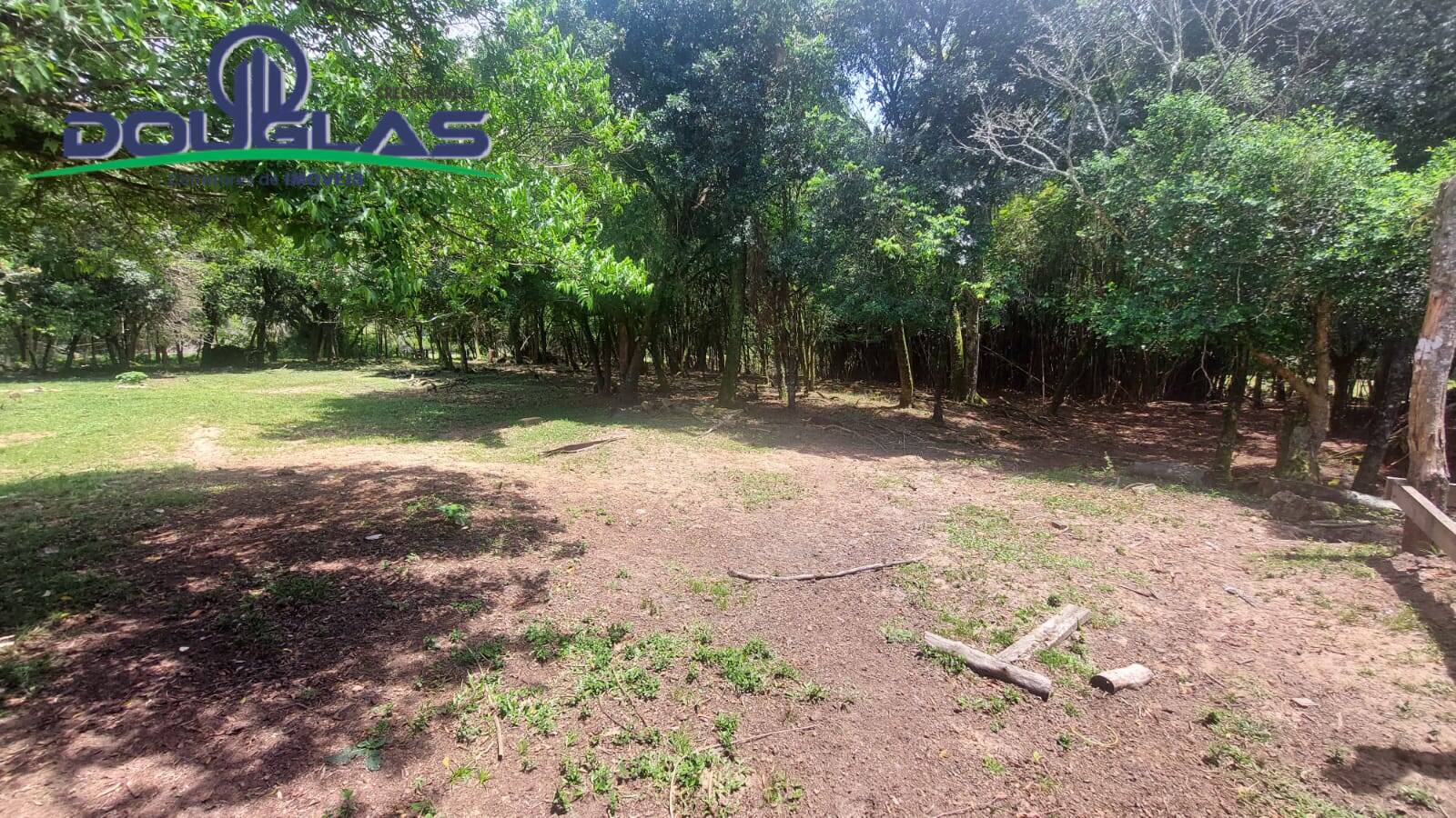 Fazenda à venda com 3 quartos, 4m² - Foto 21