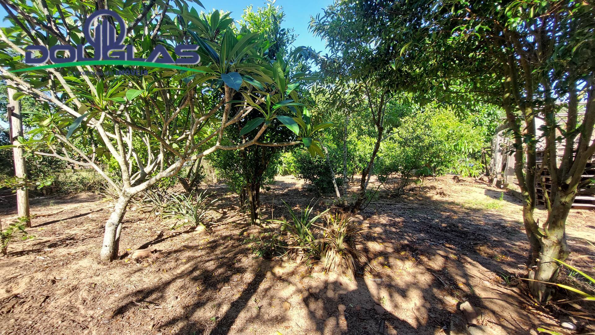 Terreno à venda - Foto 5