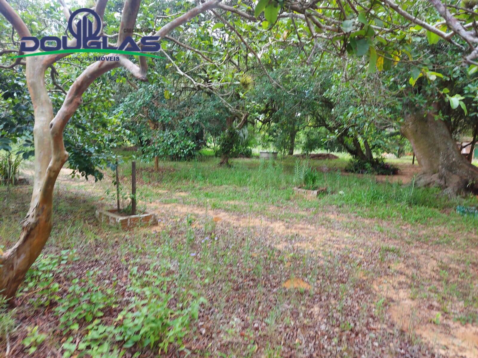 Fazenda à venda com 1 quarto, 30000m² - Foto 23