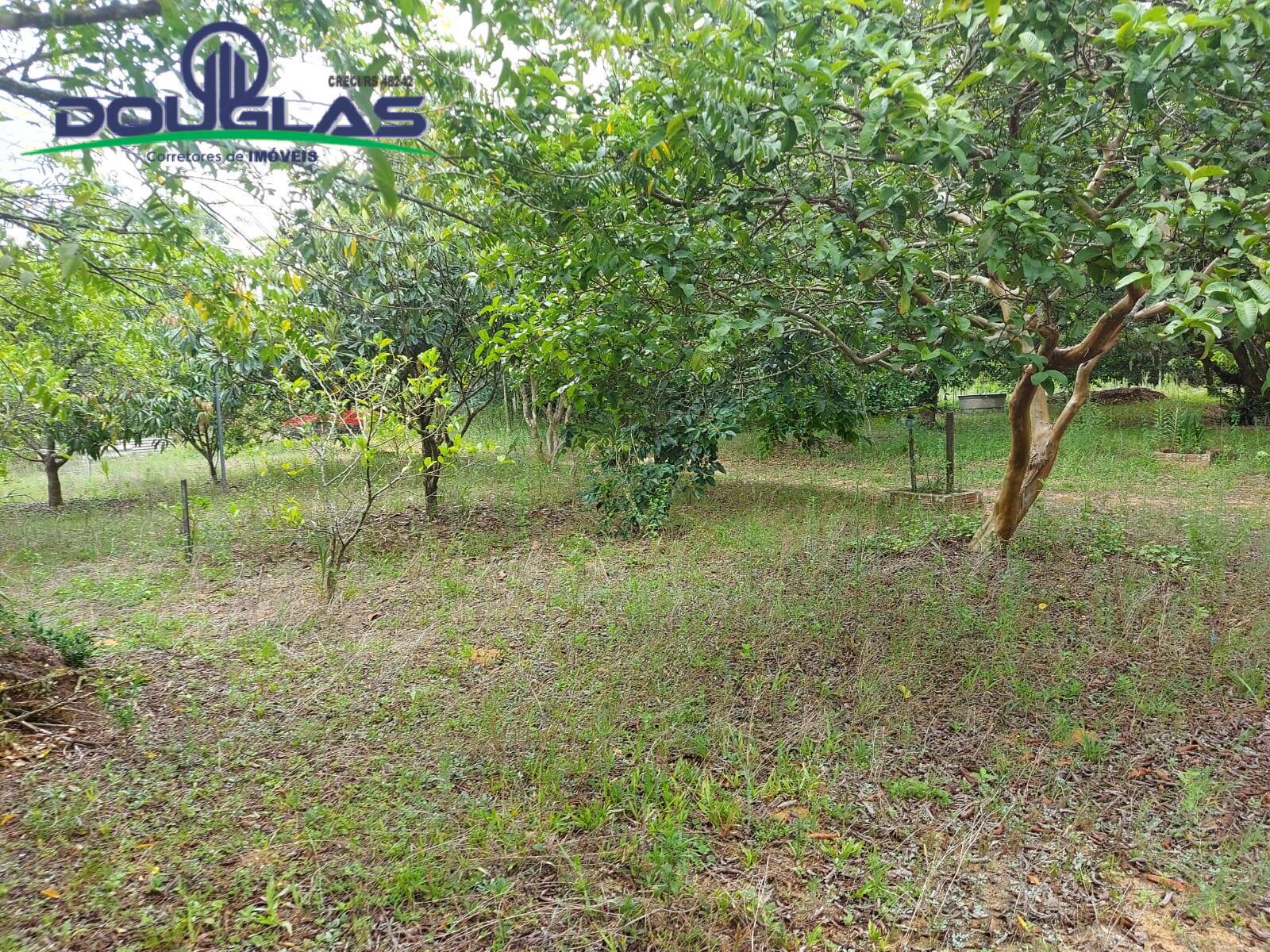 Fazenda à venda com 1 quarto, 30000m² - Foto 2