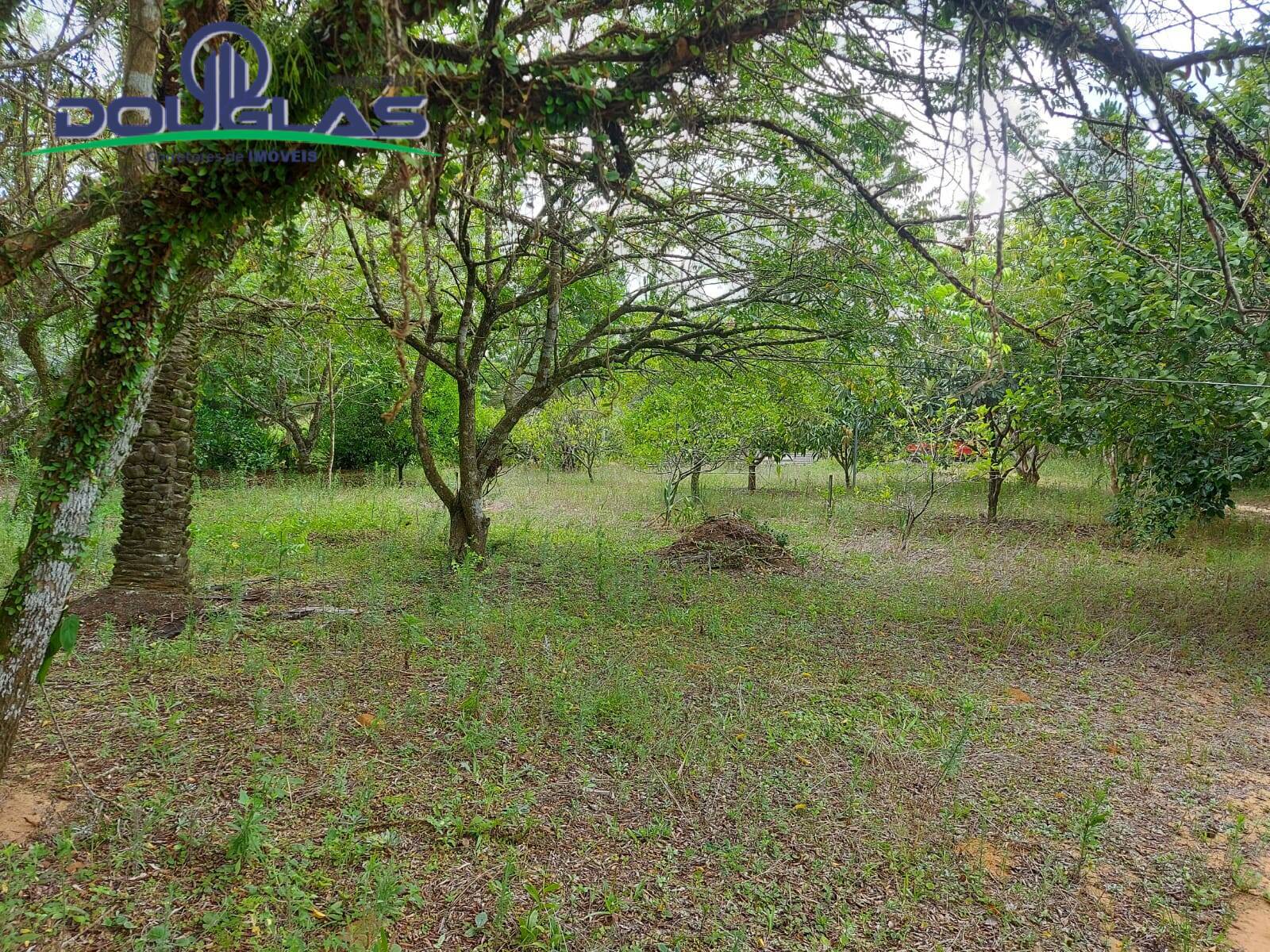 Fazenda à venda com 1 quarto, 30000m² - Foto 26