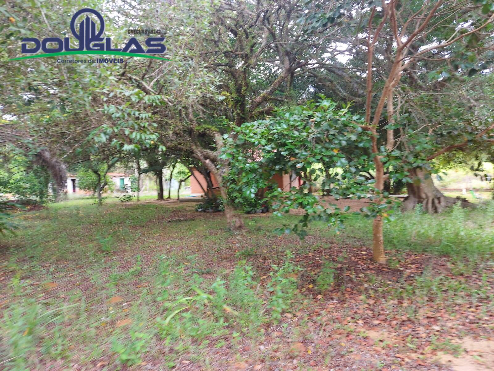 Fazenda à venda com 1 quarto, 30000m² - Foto 27