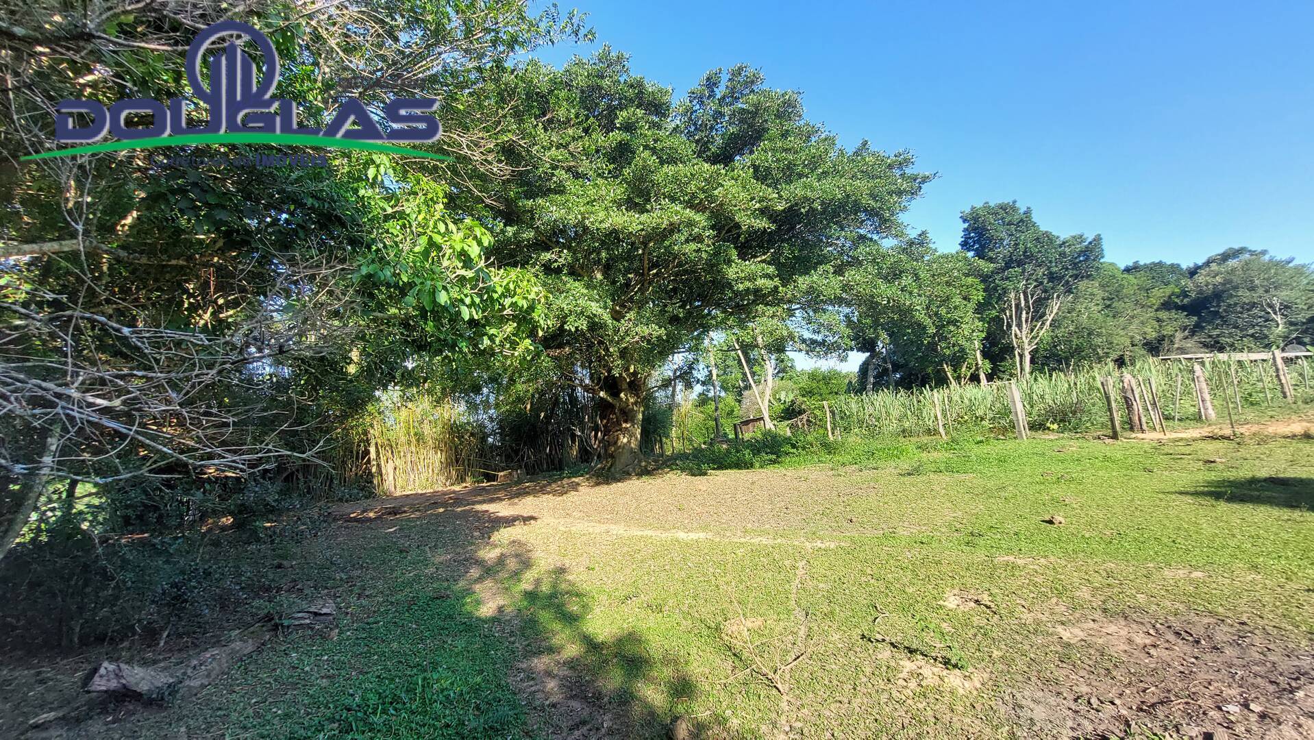 Fazenda à venda com 3 quartos, 20000m² - Foto 24