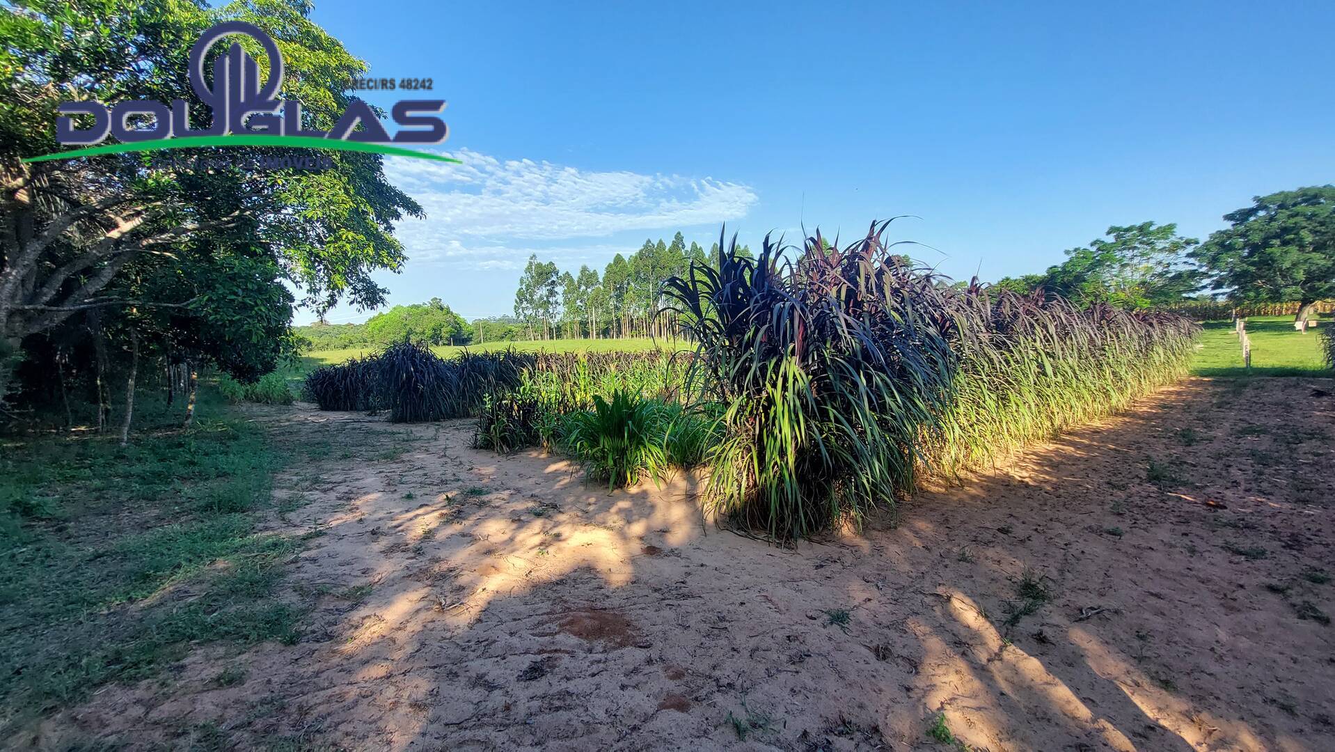 Fazenda à venda com 3 quartos, 20000m² - Foto 31