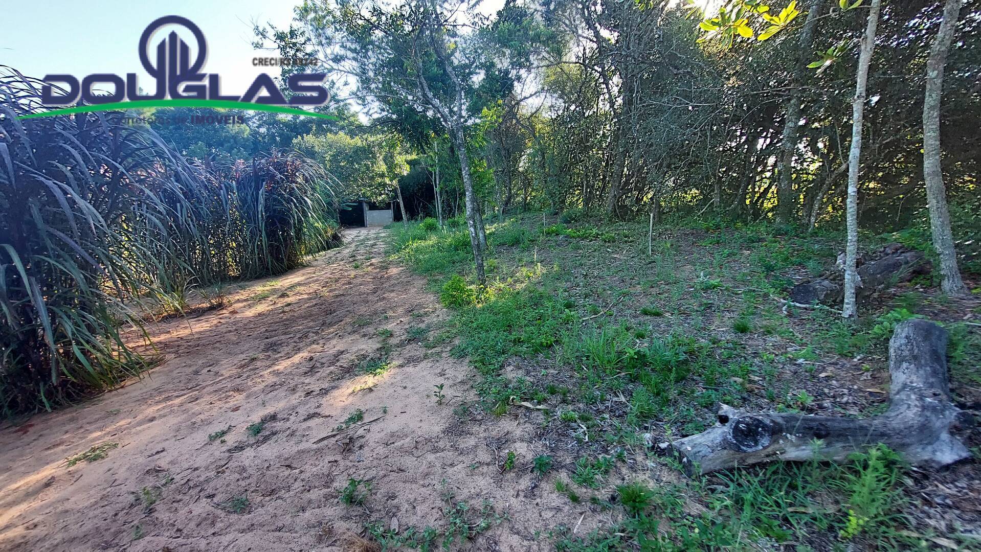 Fazenda à venda com 3 quartos, 20000m² - Foto 32